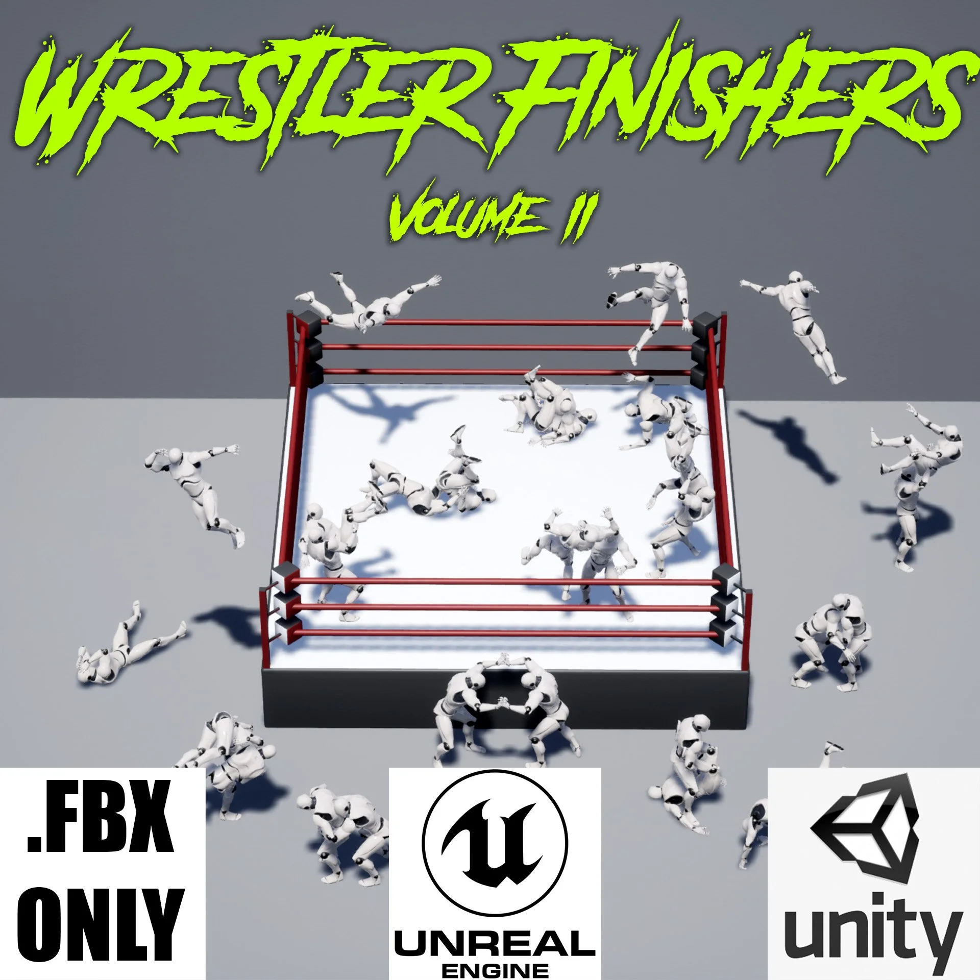 Wrestler Finishers Volume 2