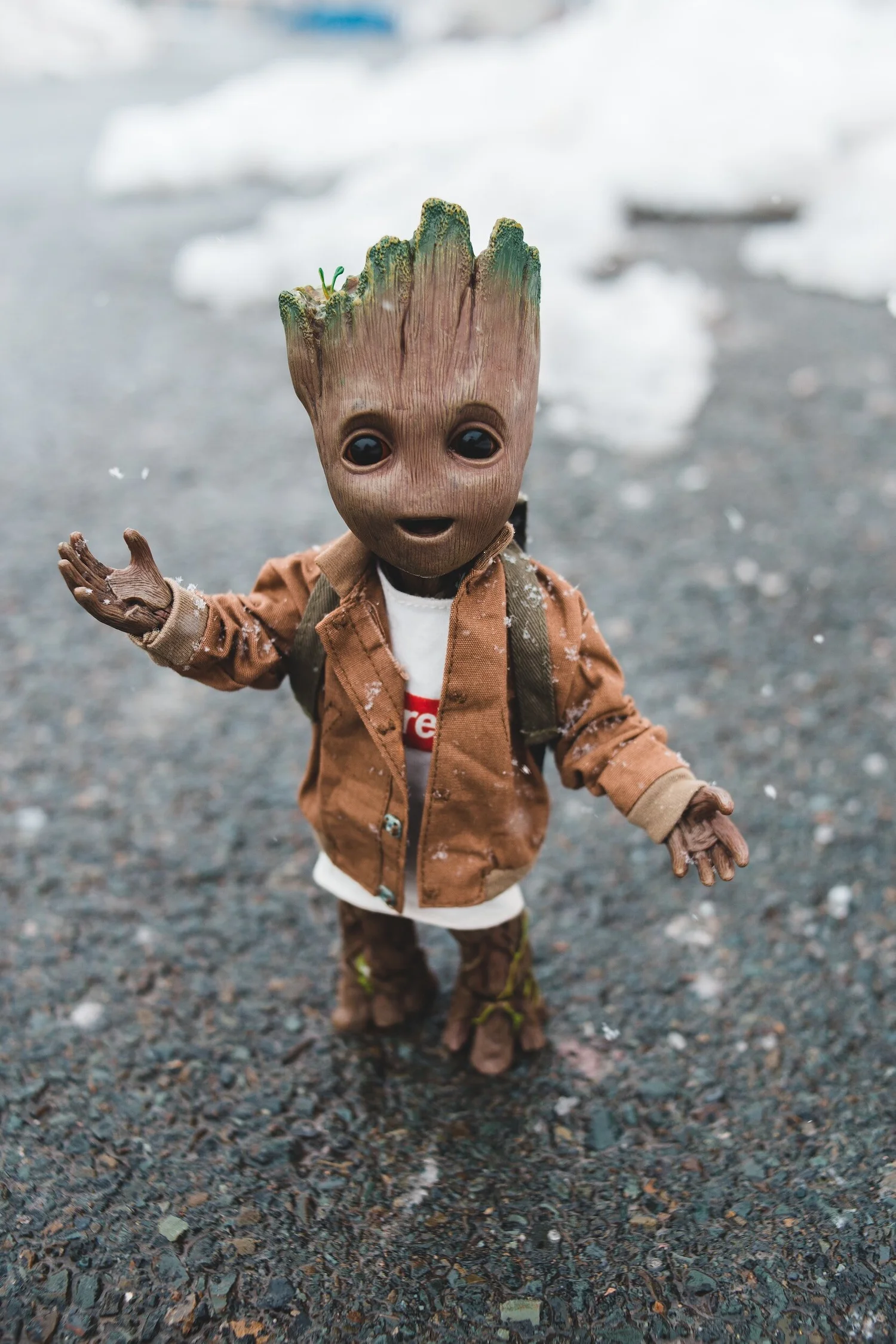 Groot Fun Team 1 — Gonzales Lab