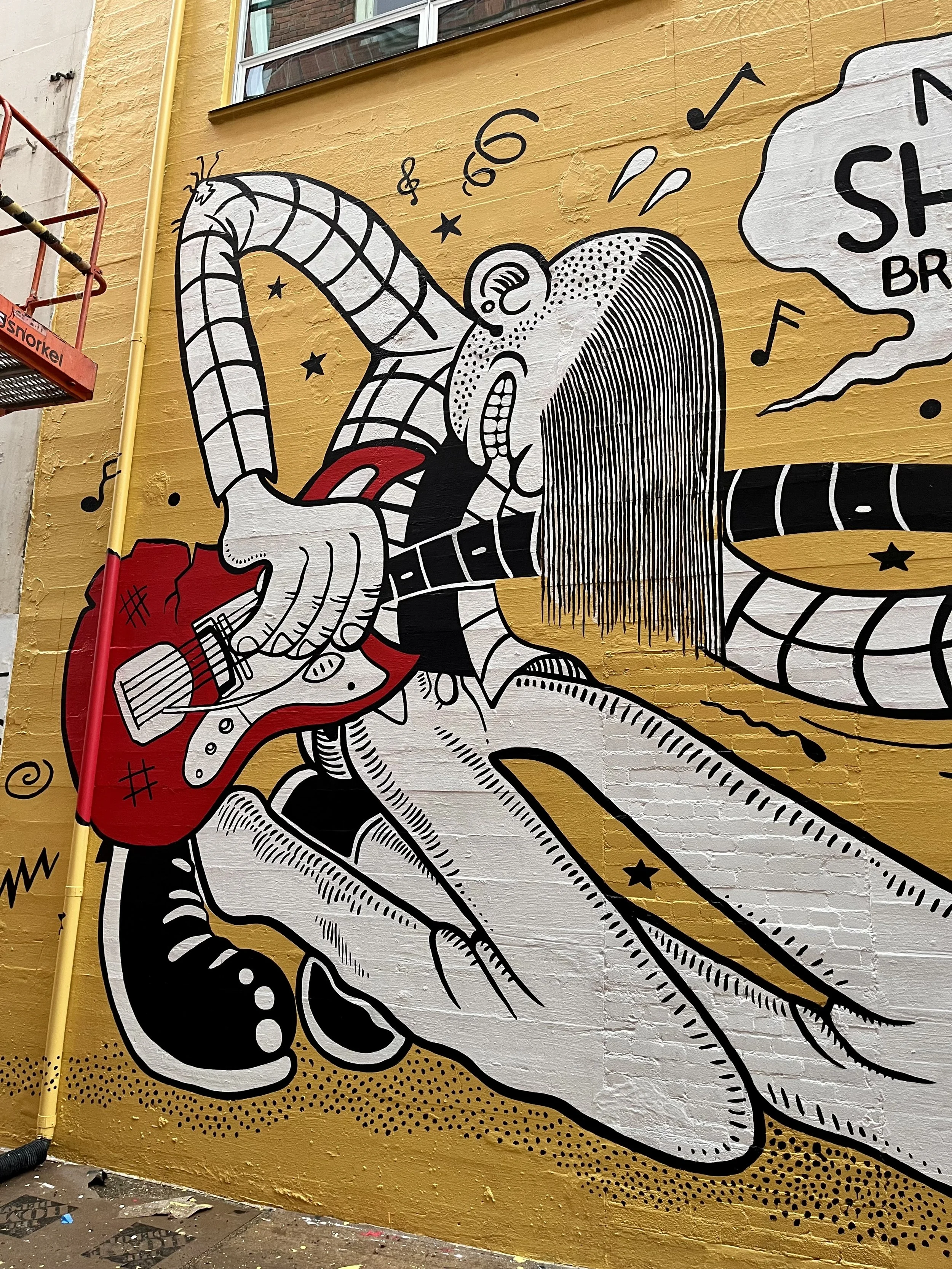 IMG_4572.jpeg