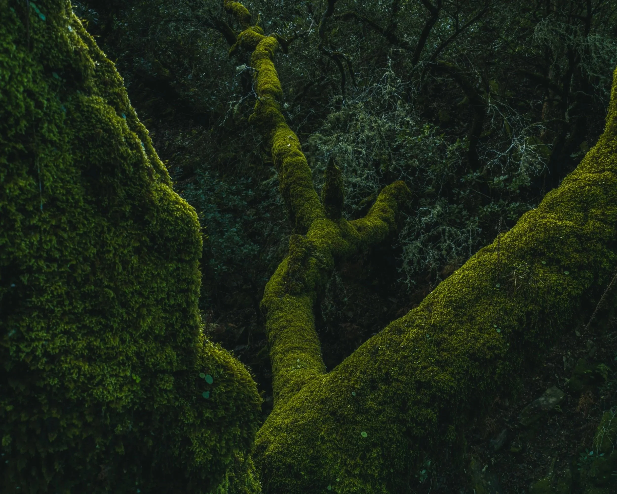 Supervision Circle with Andrew Fontana