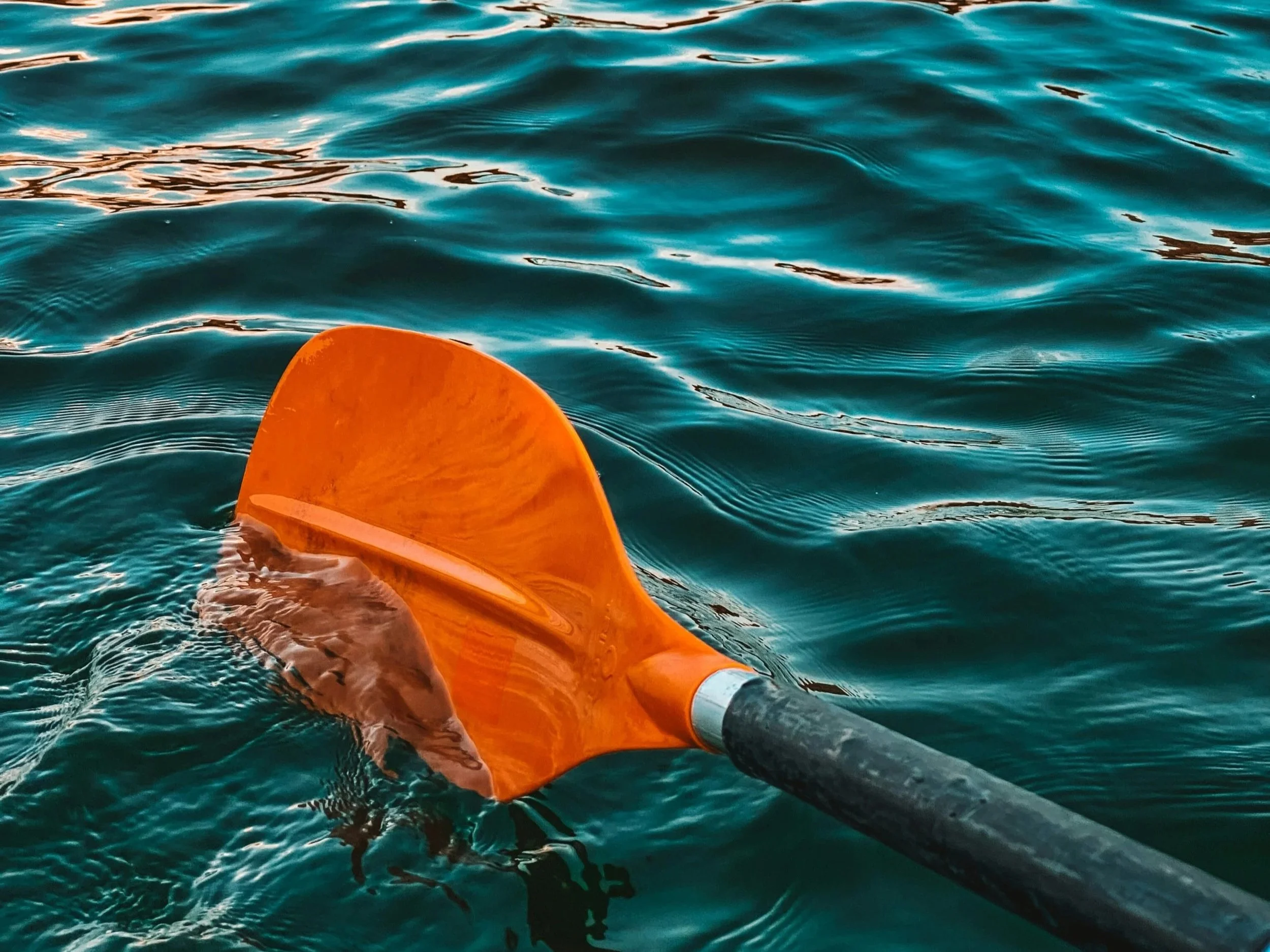 Community Paddle + Networking Group