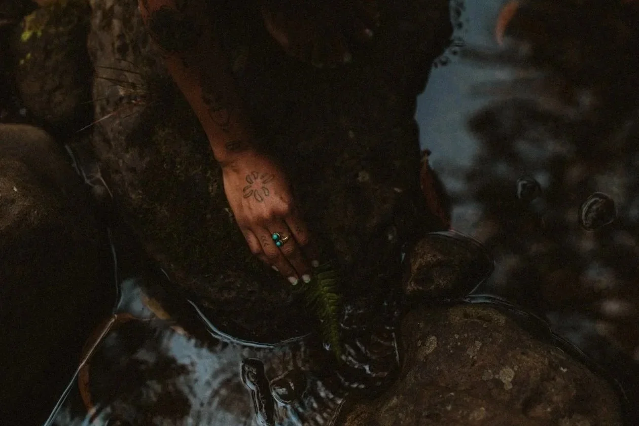 Meeting Yourself Where You Are: An Introduction to Working with Flower Essences