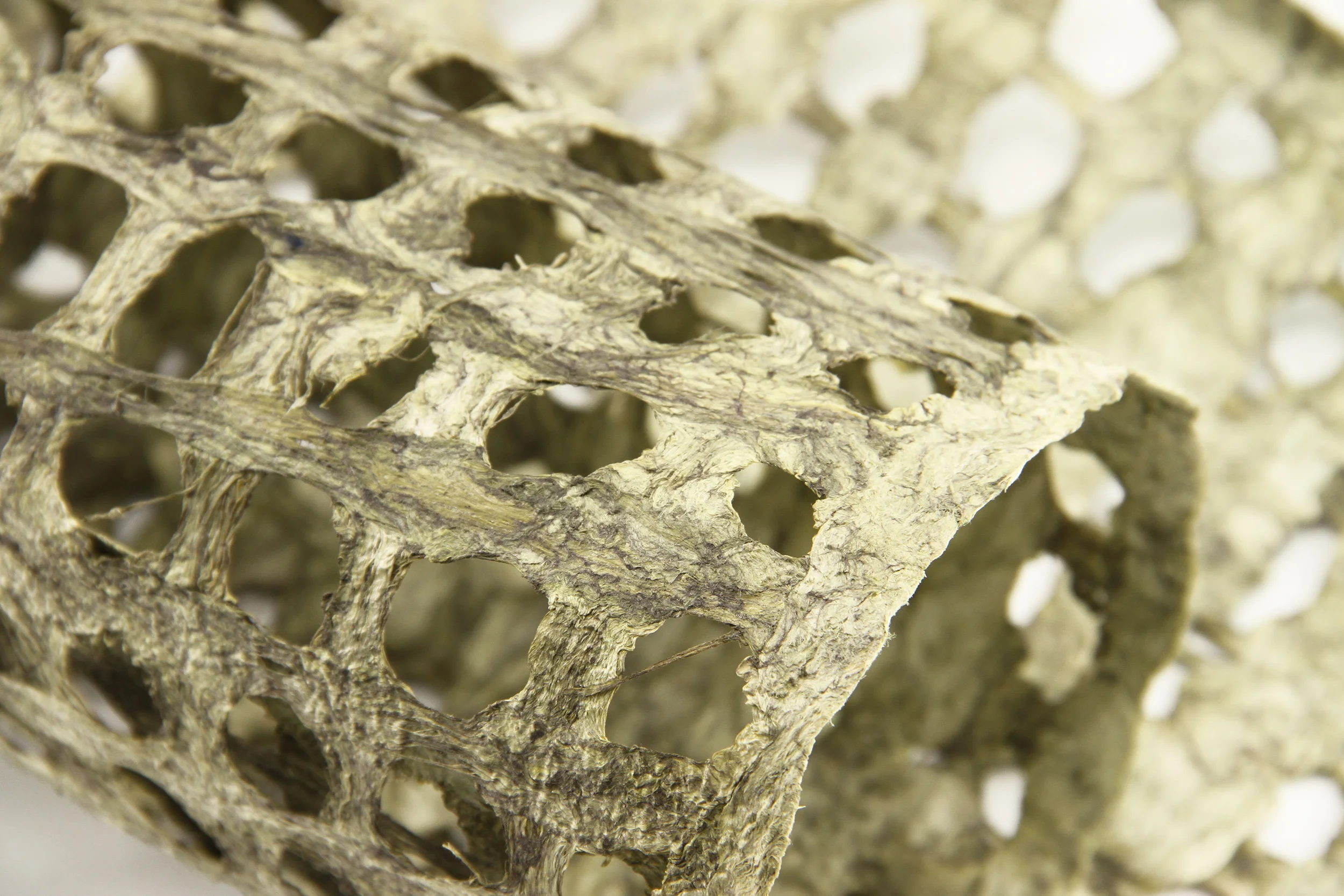 ds-decorative-paper-holes.jpg