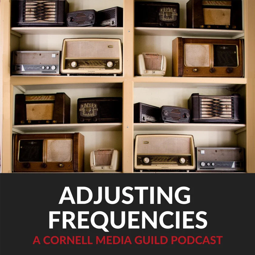 AdjustingFrequencies_FINAL.jpeg