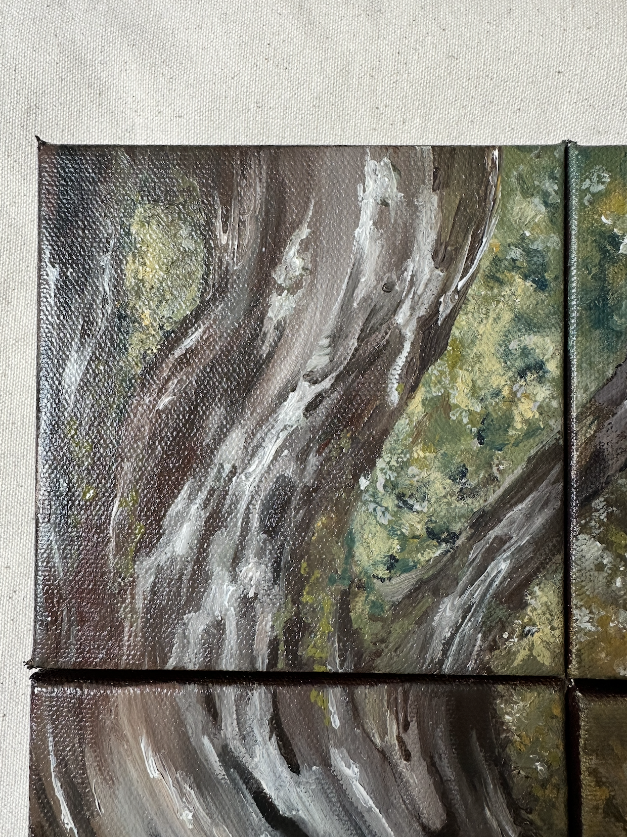 Moss III - from collection.png