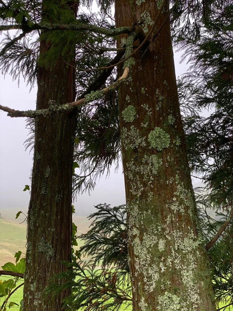 Reference photos and their paintings >>