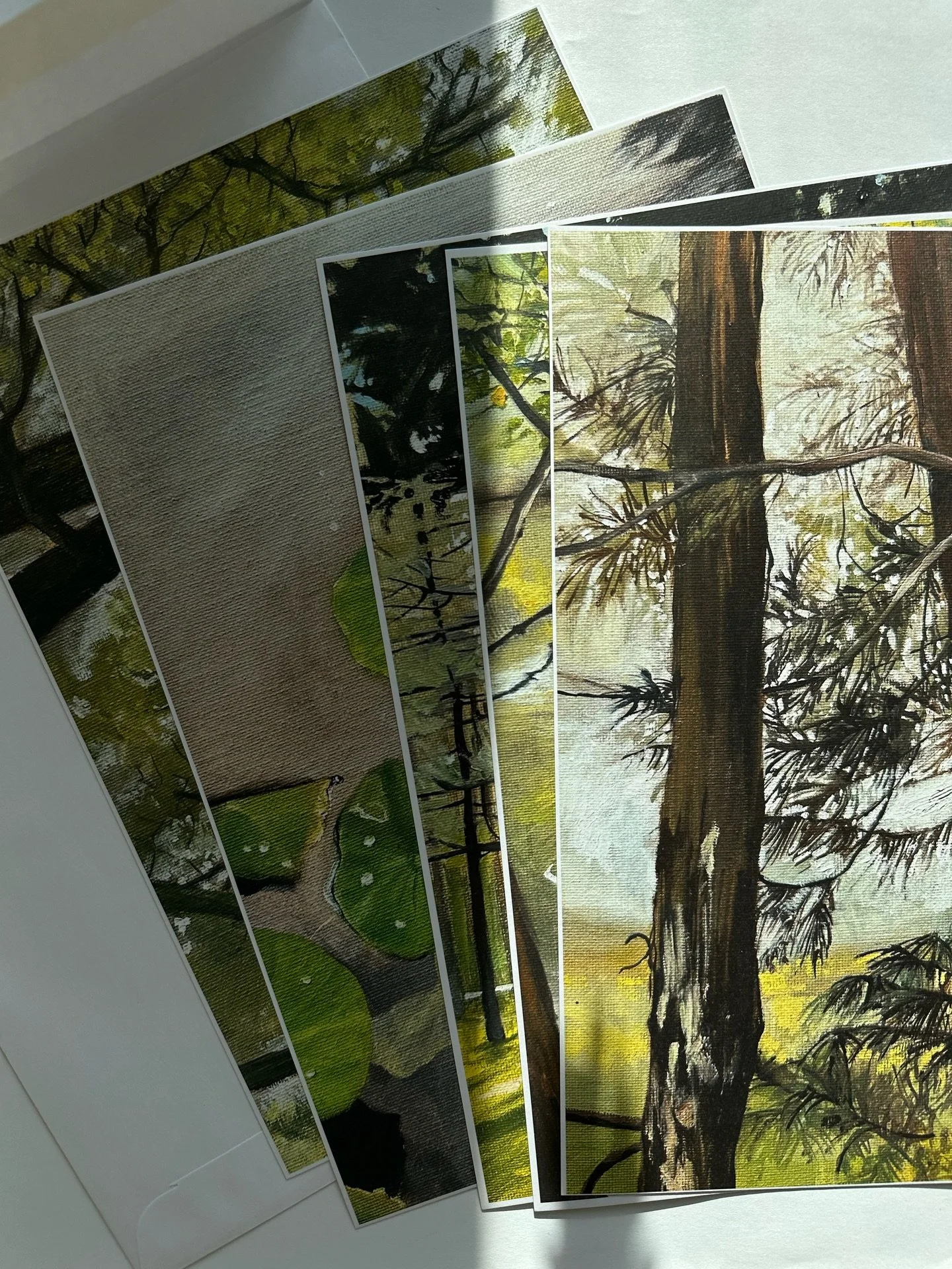 Moments indoors, immersing in nature, and watching a snail journey across the coast against 90km/h winds