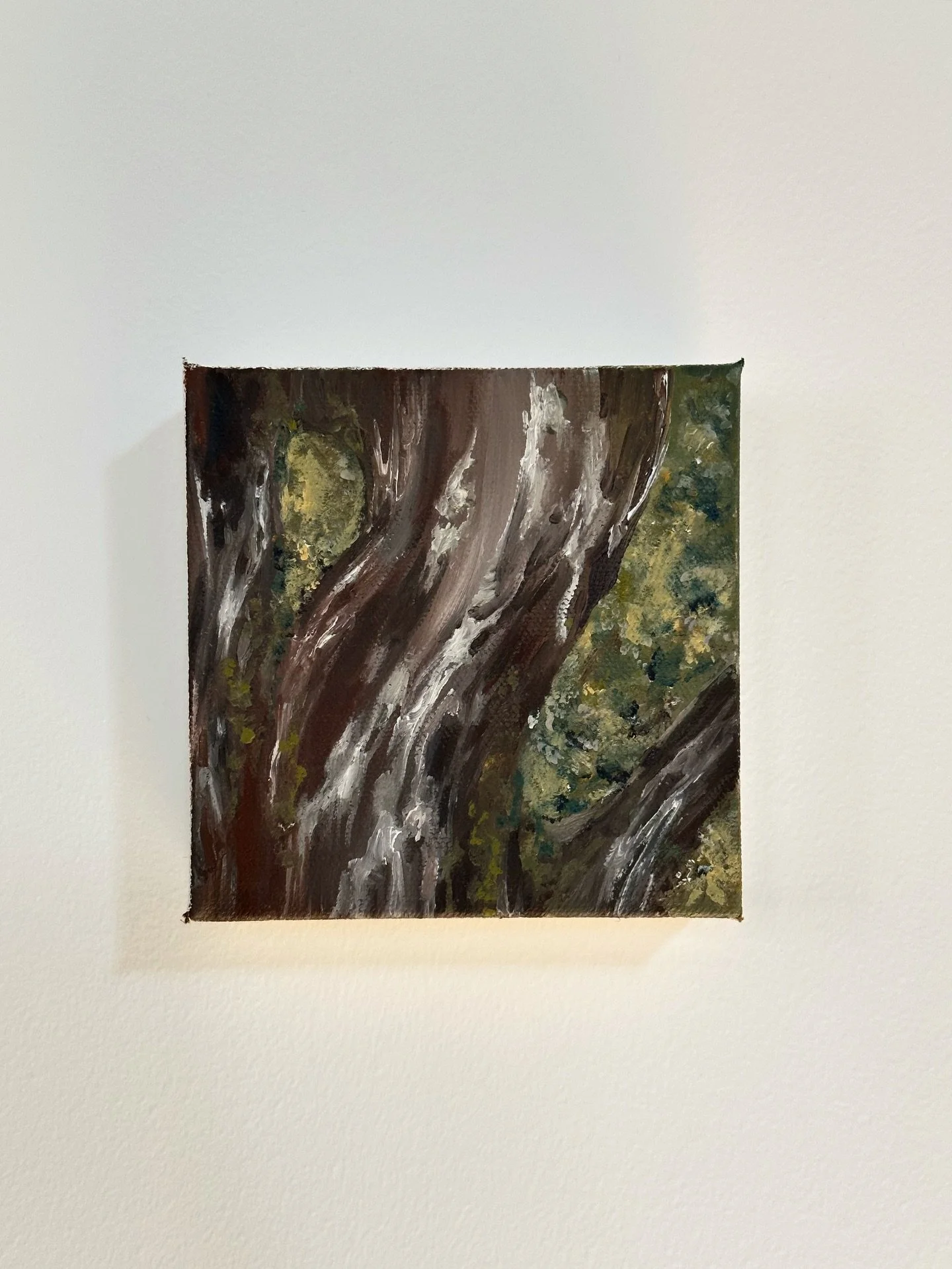 Panel three - Just as air bends and water shifts, mosses carry their own path navigating the surface, digging into the gaps where wind cannot tug at them. Immersing into the depth of ourselves is like that. We learn to flow with our environment and s
