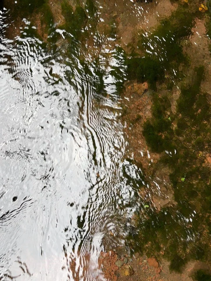 Observing the movement of water quickly becomes a reflection on thought and time. Water moves freely while stones and moss remain clinging. Our thoughts behave the same way, some move through freely while others require patience.