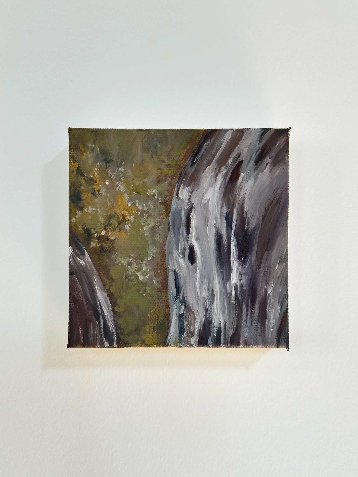 5/6 ~ deep burgundy/brown of the sides is bringing me joy 🌹