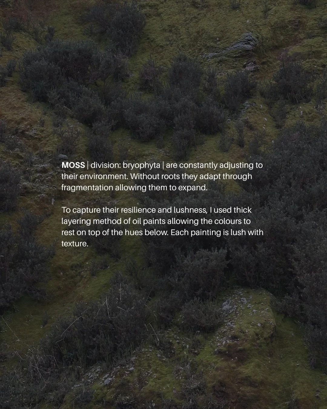 Recognizing our environment as a way of nurturing the seasons