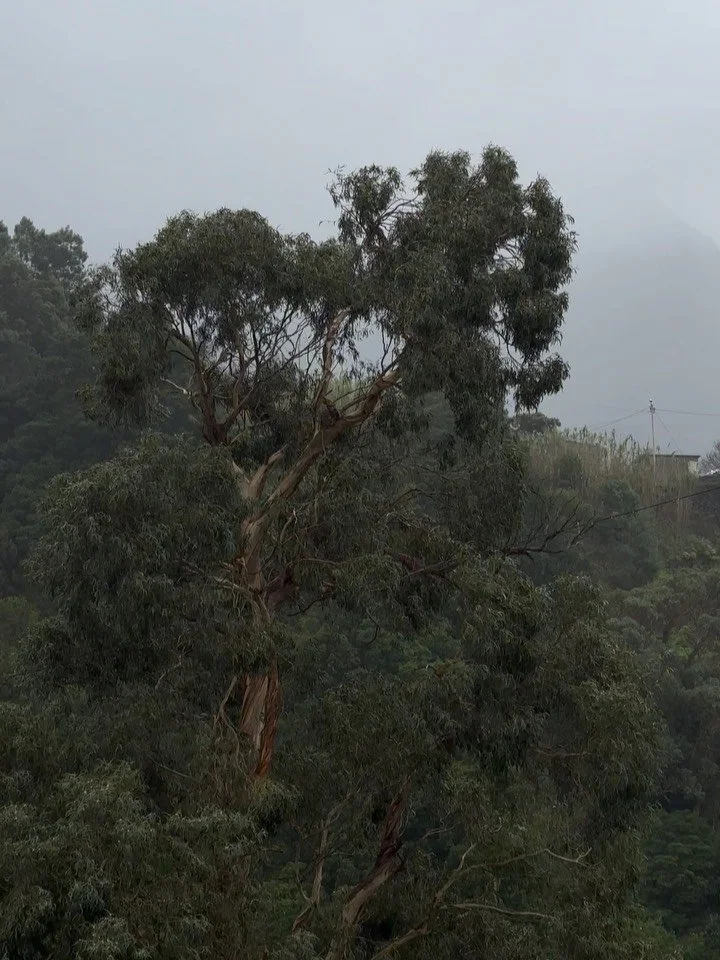 Filled with so much gratitude lately ~ 🤍