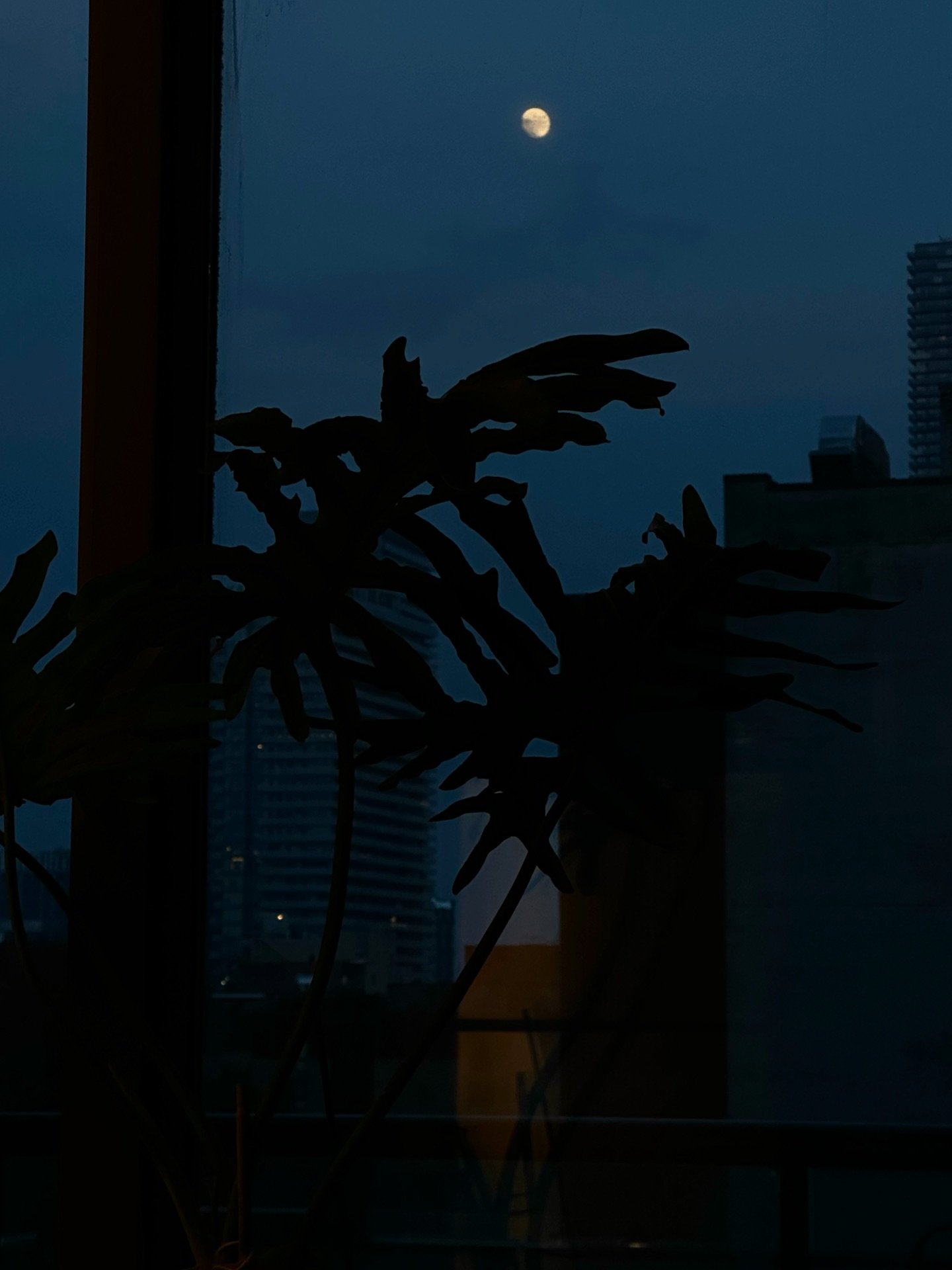 Blues from last year