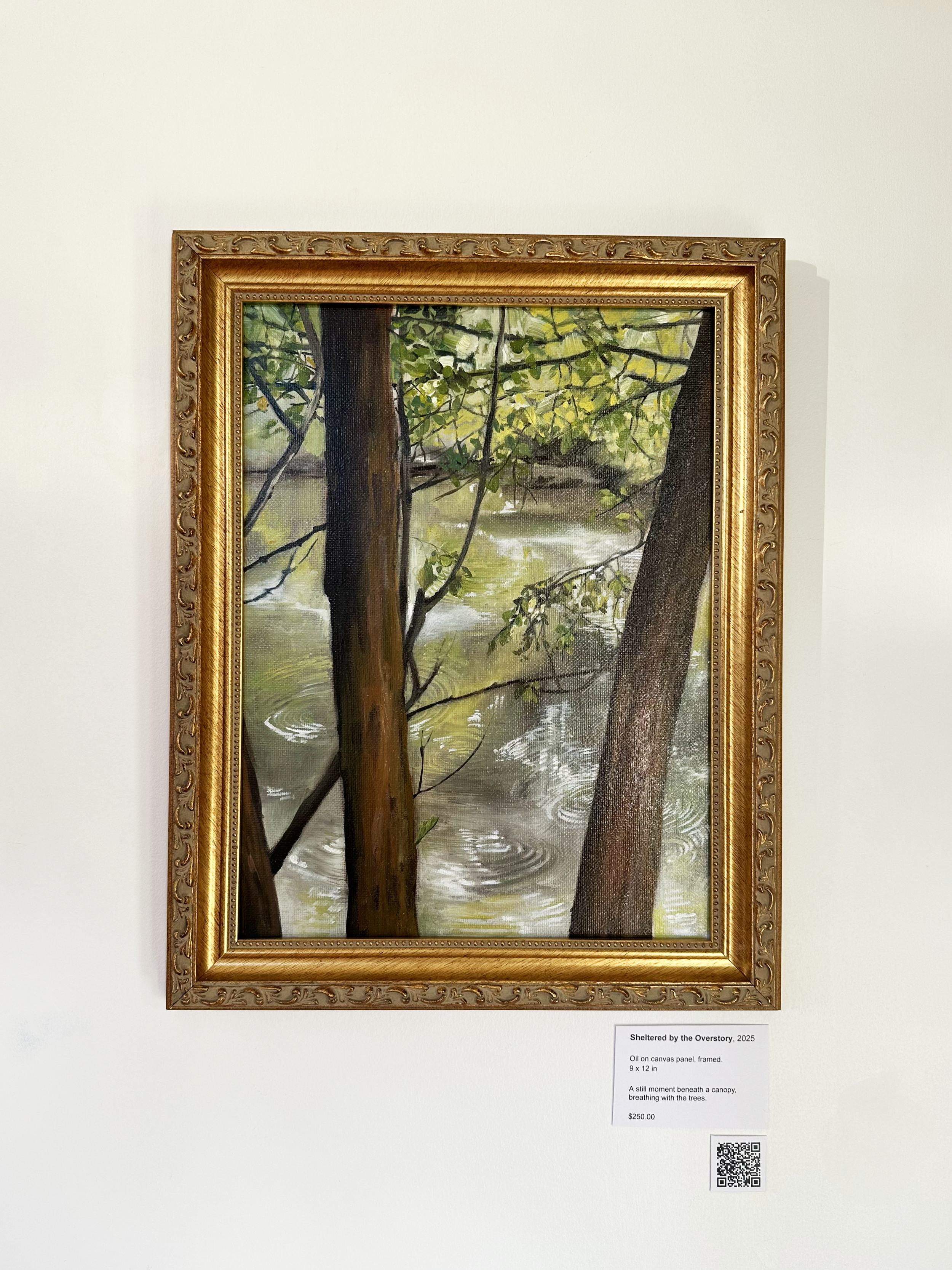 Sheltered by the overstory - framed .png