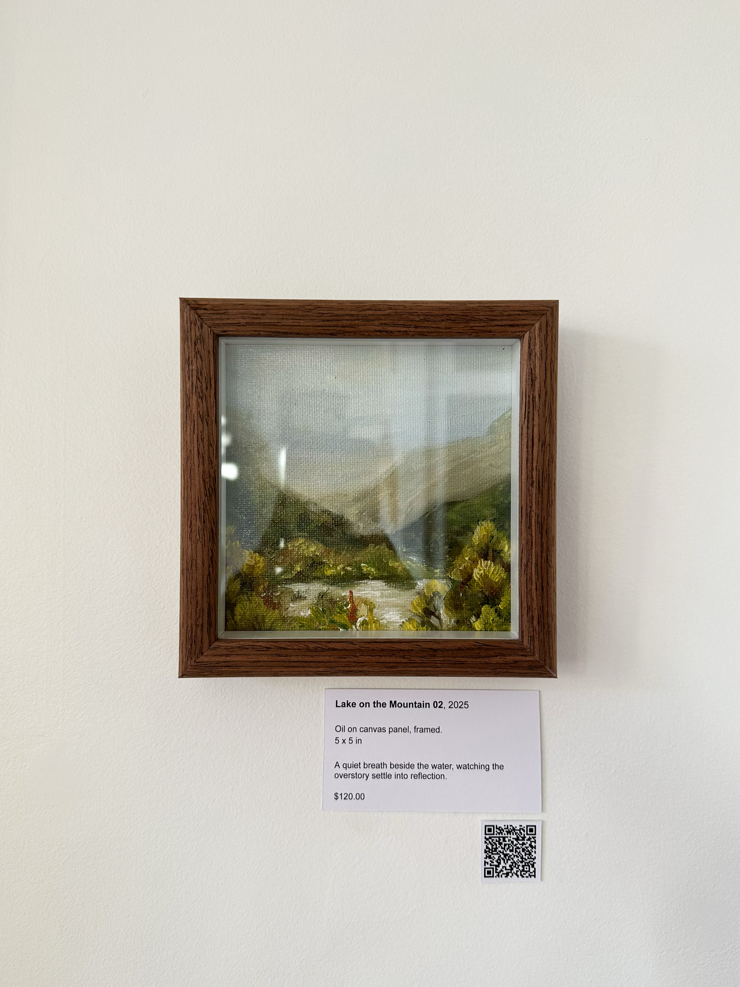 Lake on the Mountain 02 - Framed .png