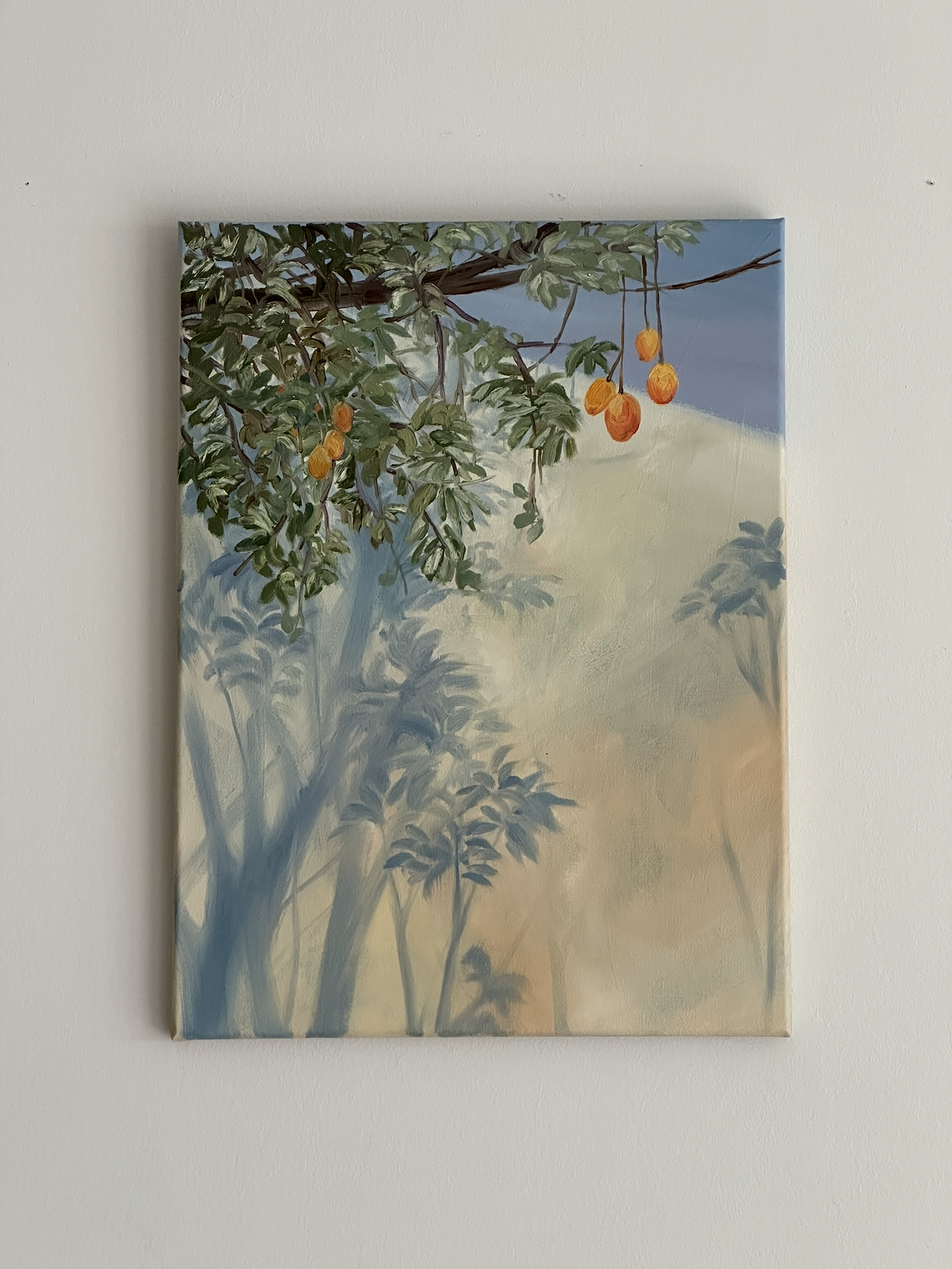 Mango Skies 2026 Oaxaca Coastal Series.png