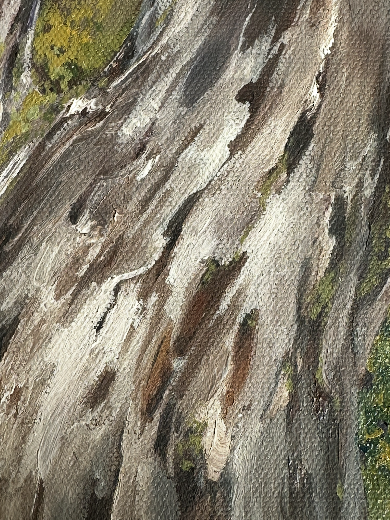 Moss study VI - close up texture of oil paint.png