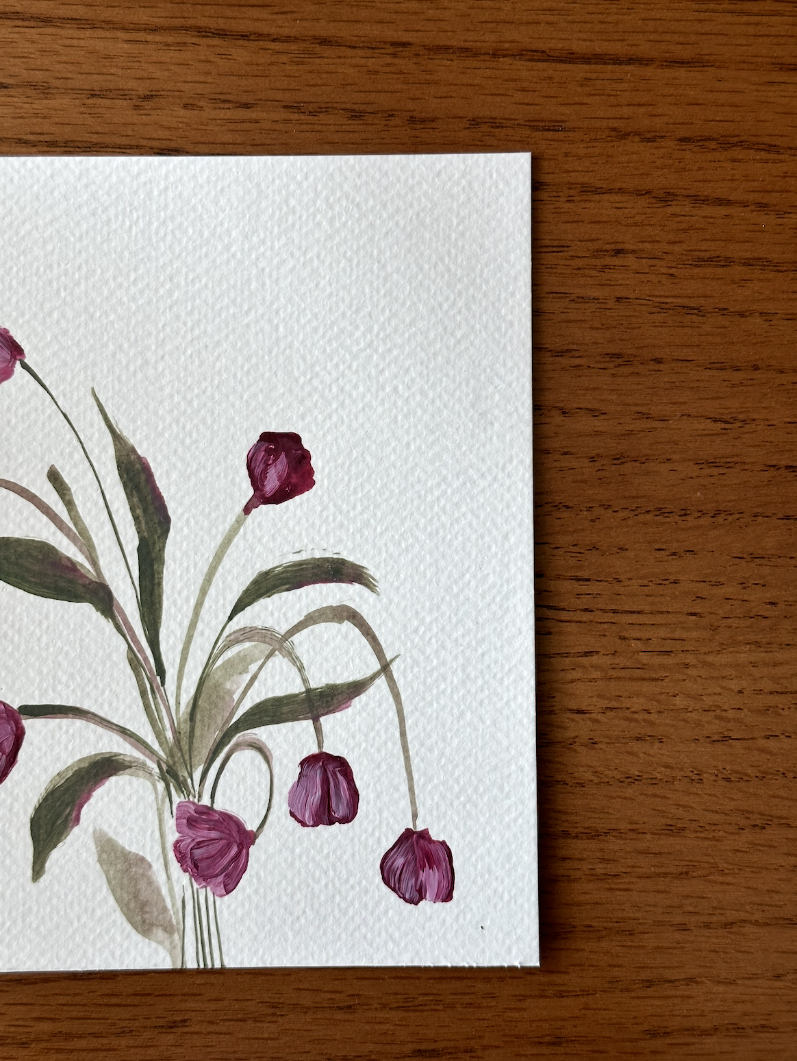 02 - tulips in the summer heat 0.2.png