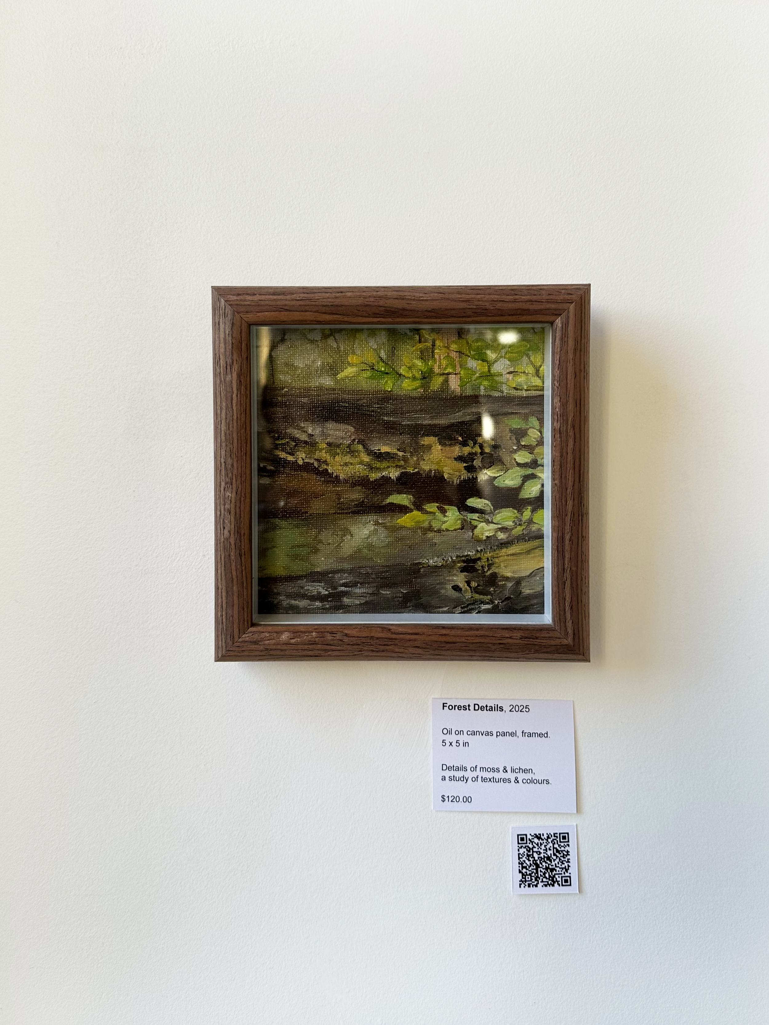 Forest Details - framed.png