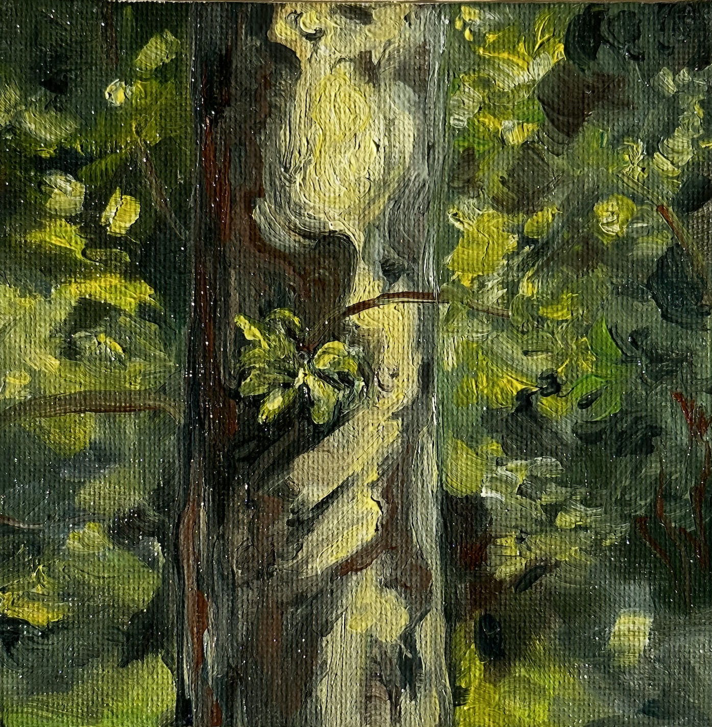 Komorebi study 02 5x5 painting.png