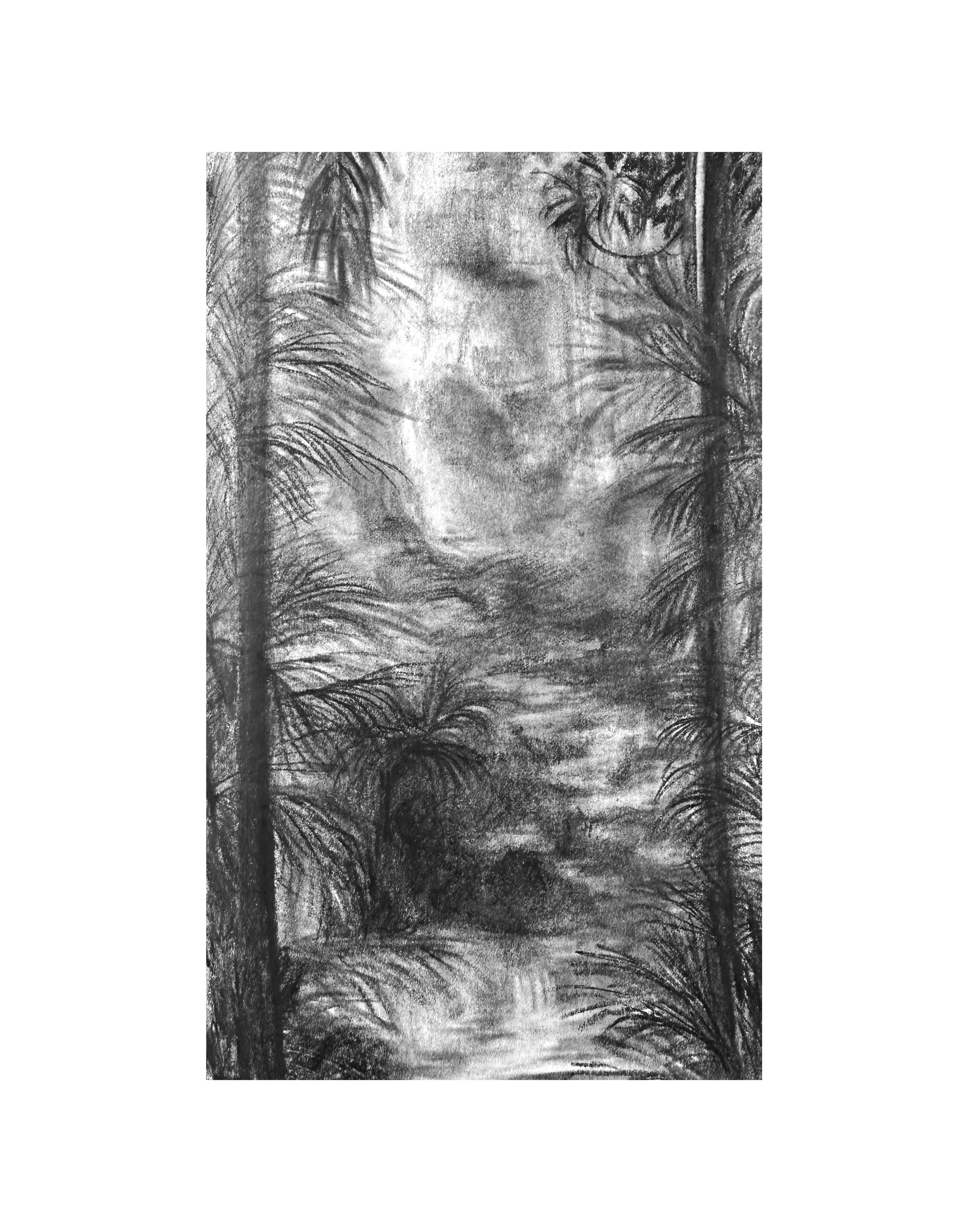 17 - Tropical Rainforest.png