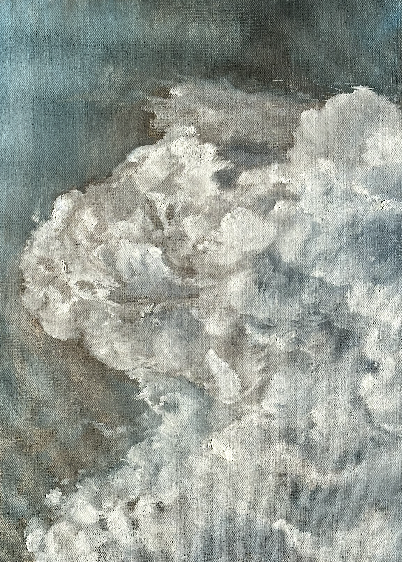 Lost in the Clouds I