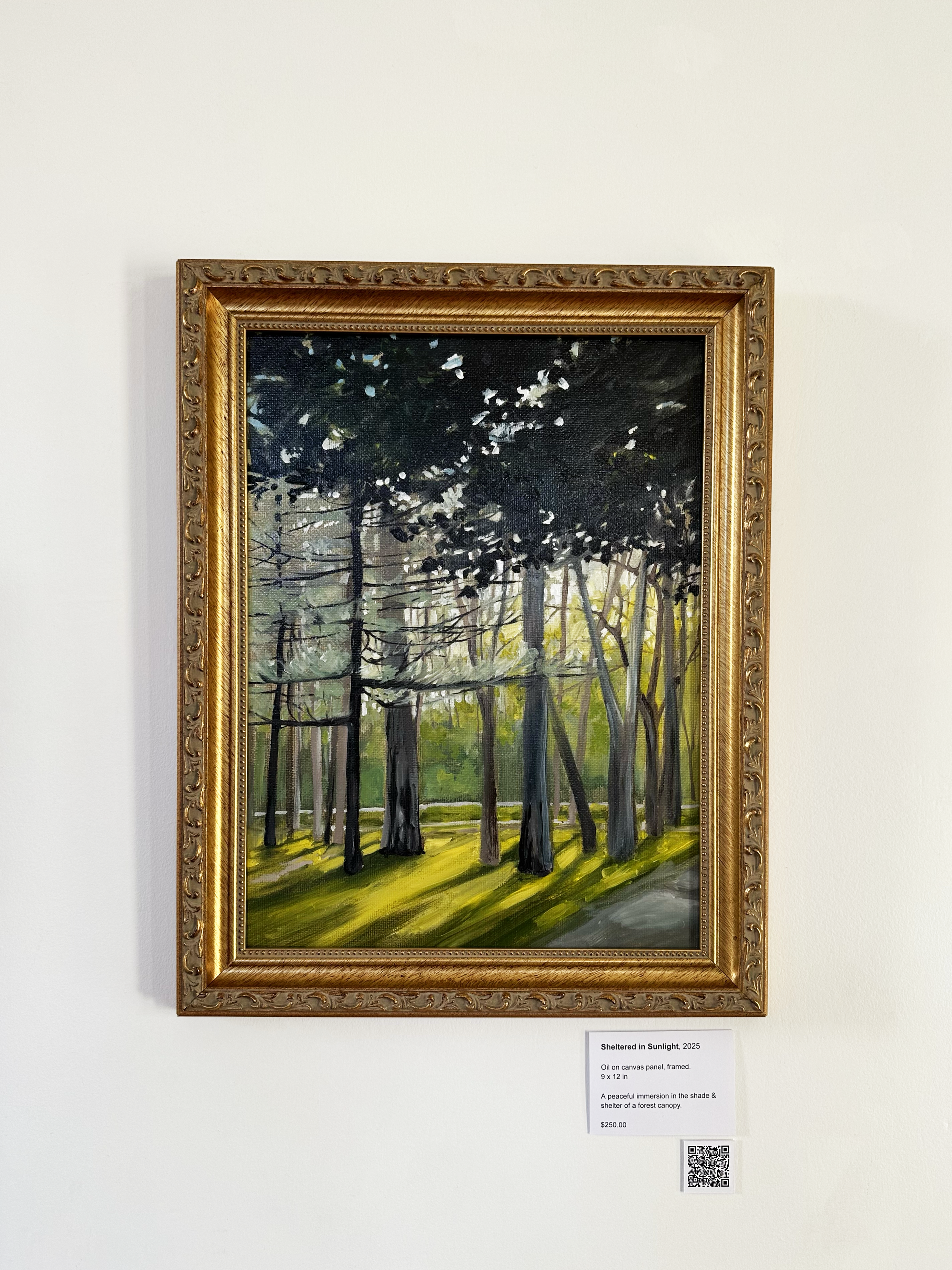 Sheltered in sunlight - framed.png