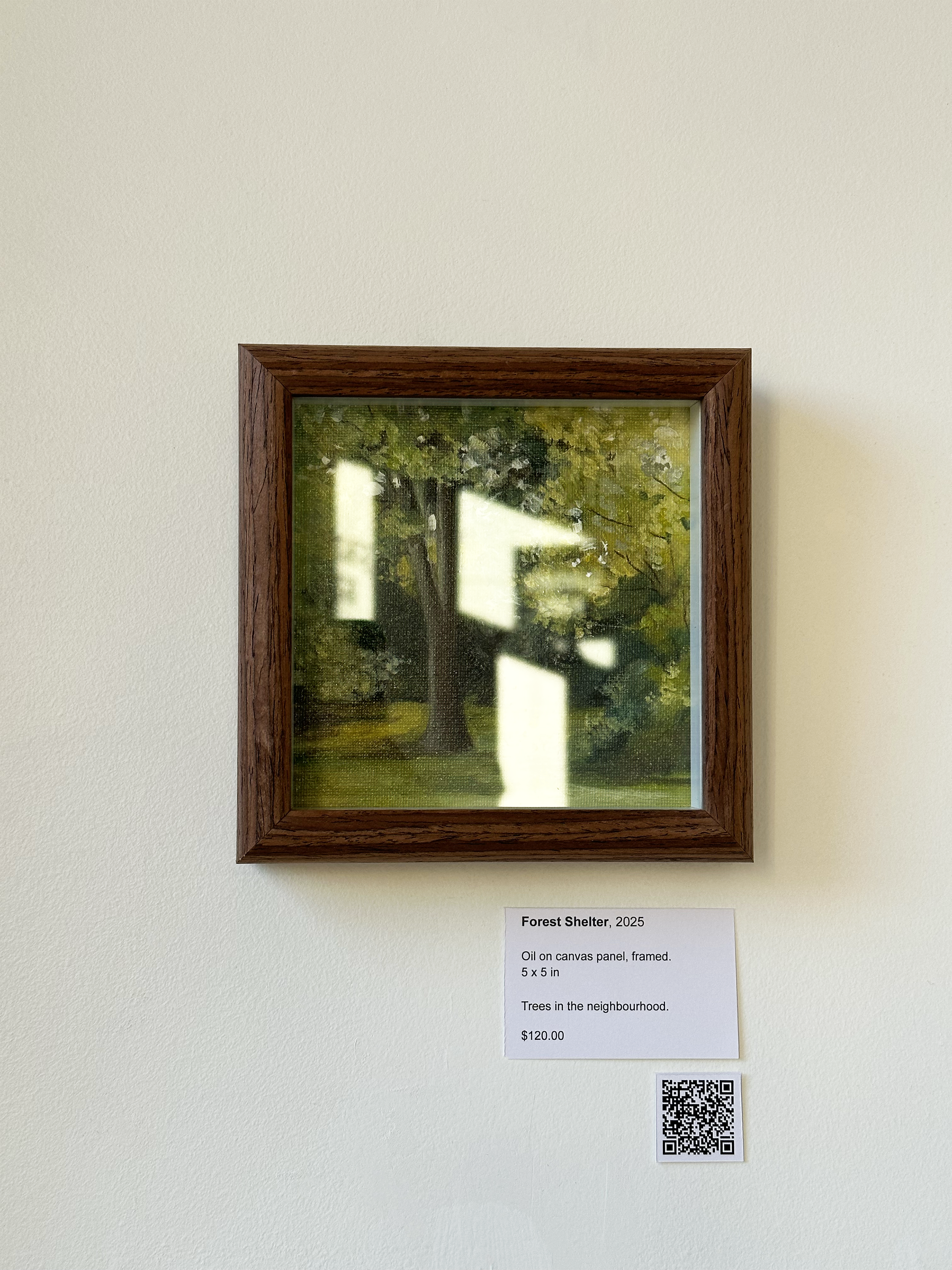 Forest Shelter - framed.png