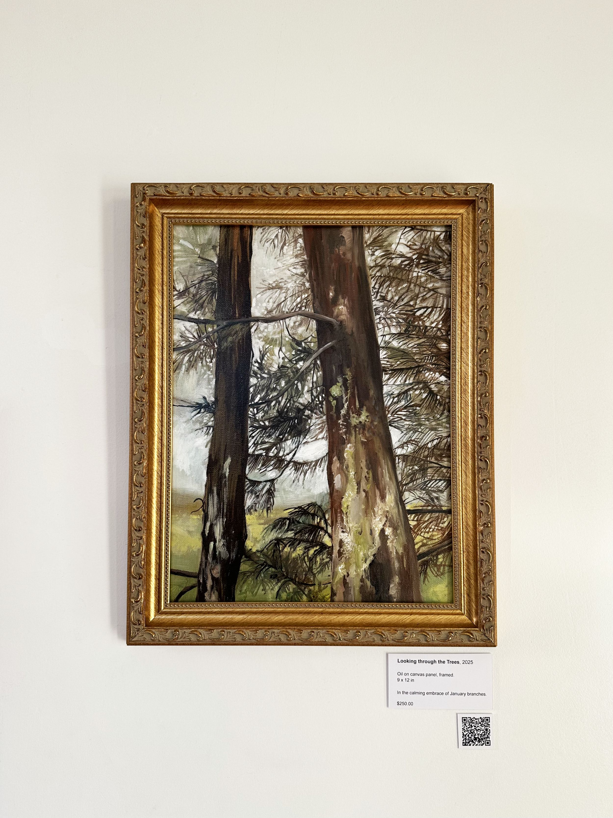 Looking through the trees - framed.png