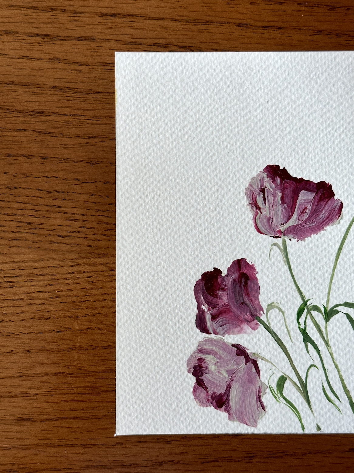 01 - tulips in the summer heat 0.2.png