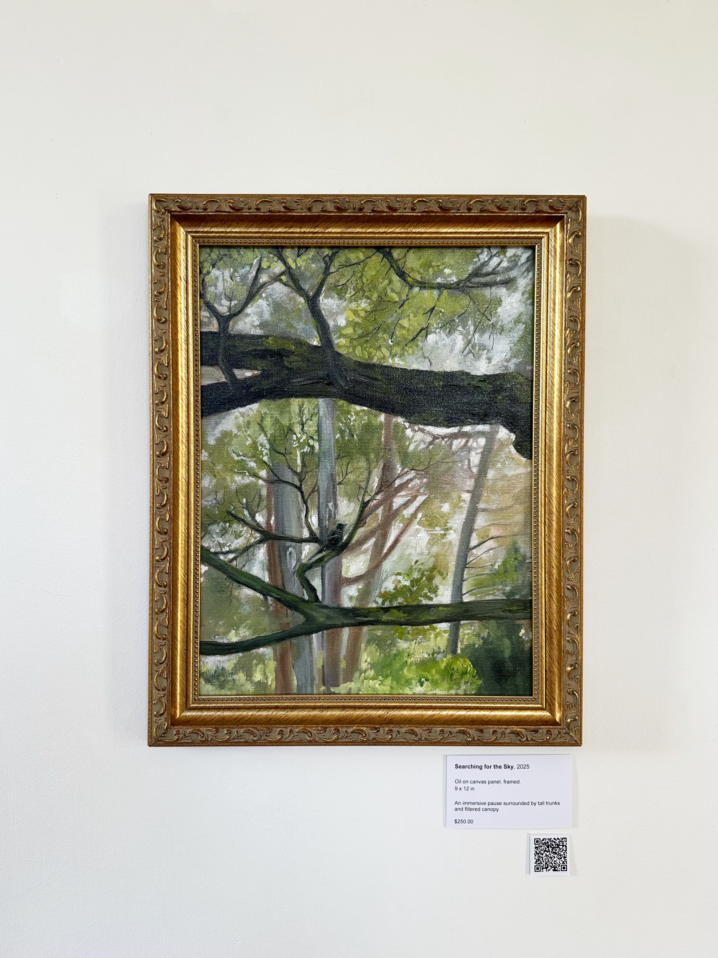 searching for the sky - framed.png