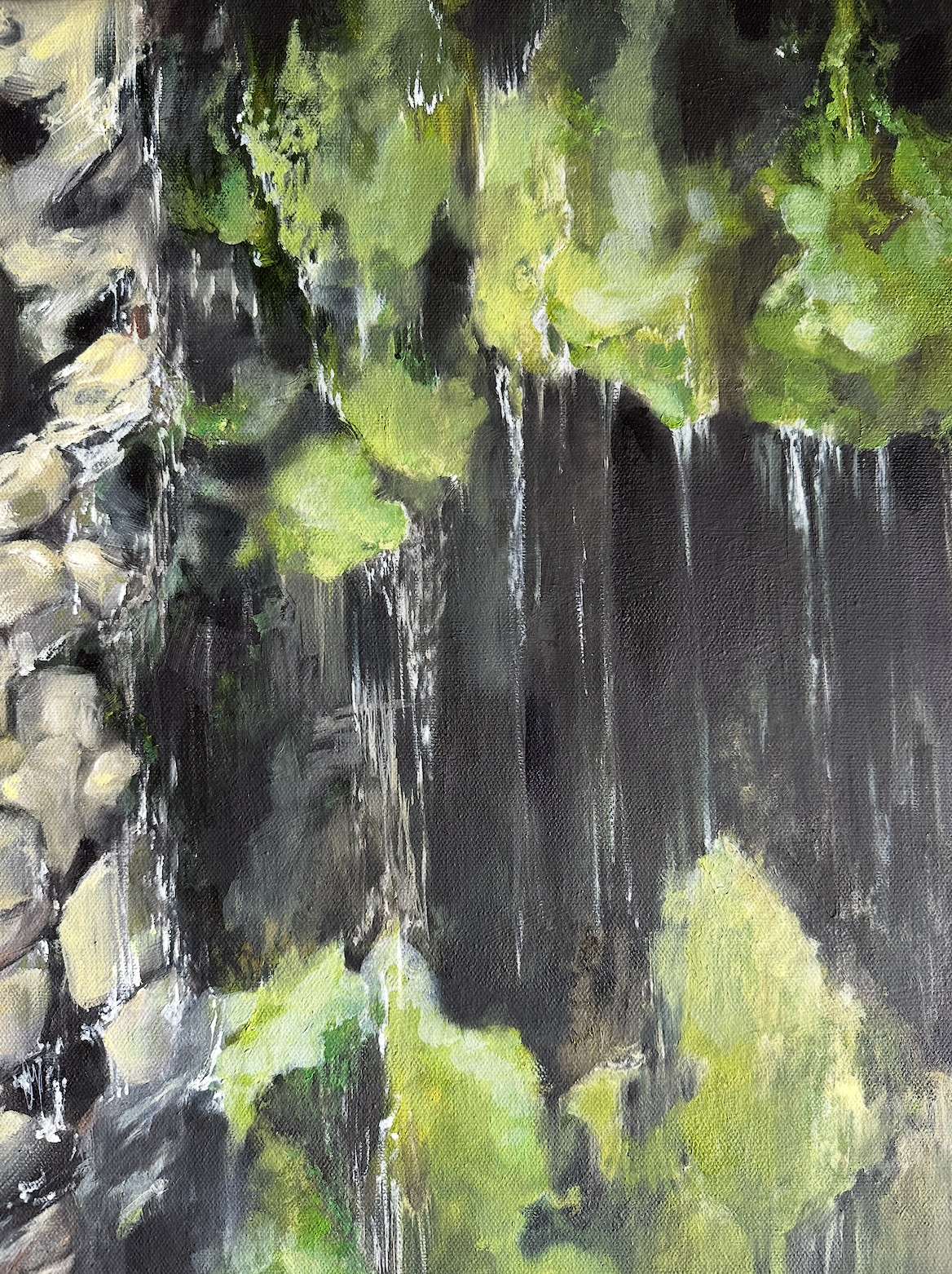 Looking through the waterfall (left).png