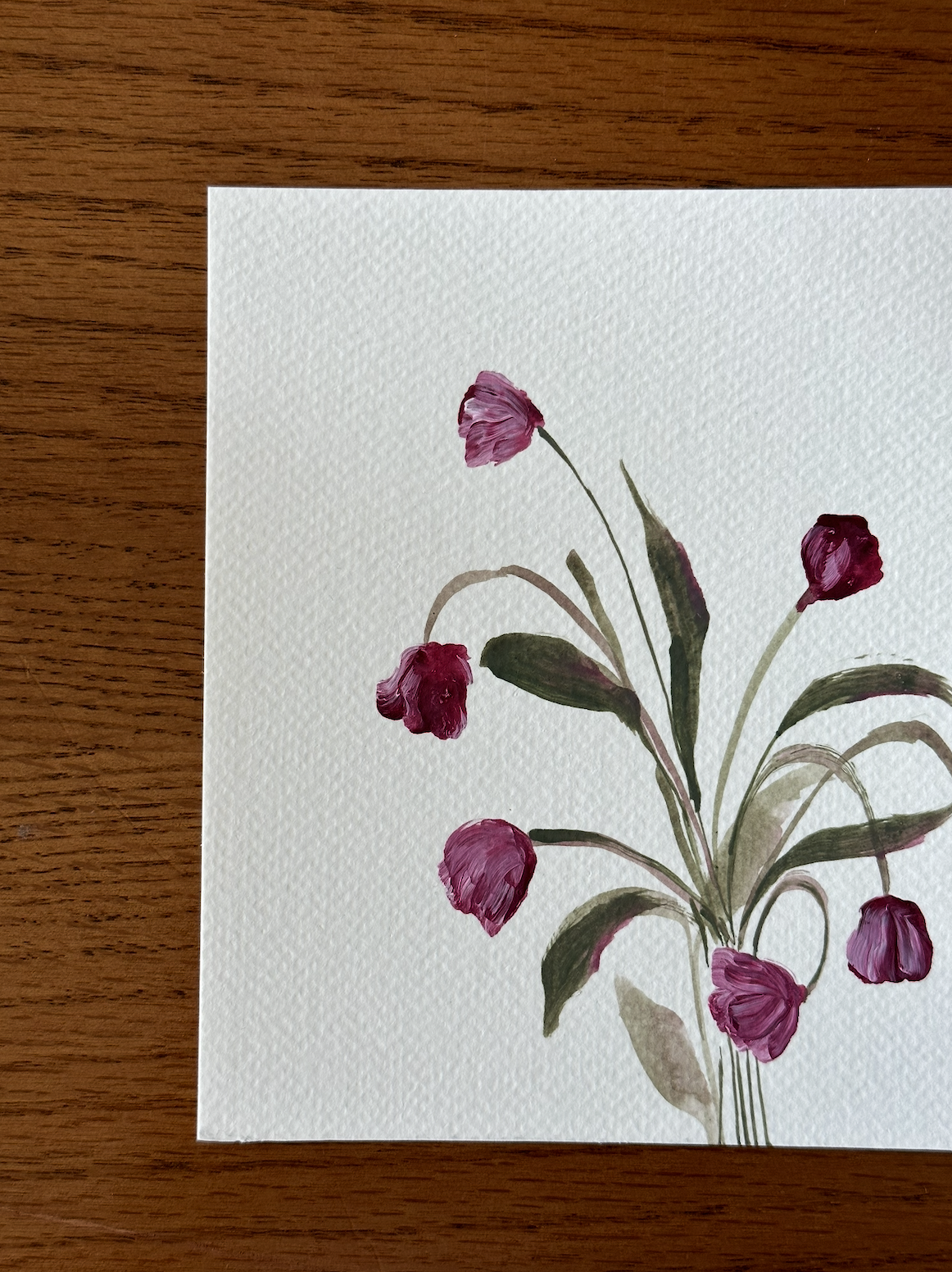 02 - tulips in the summer heat 0.1.png