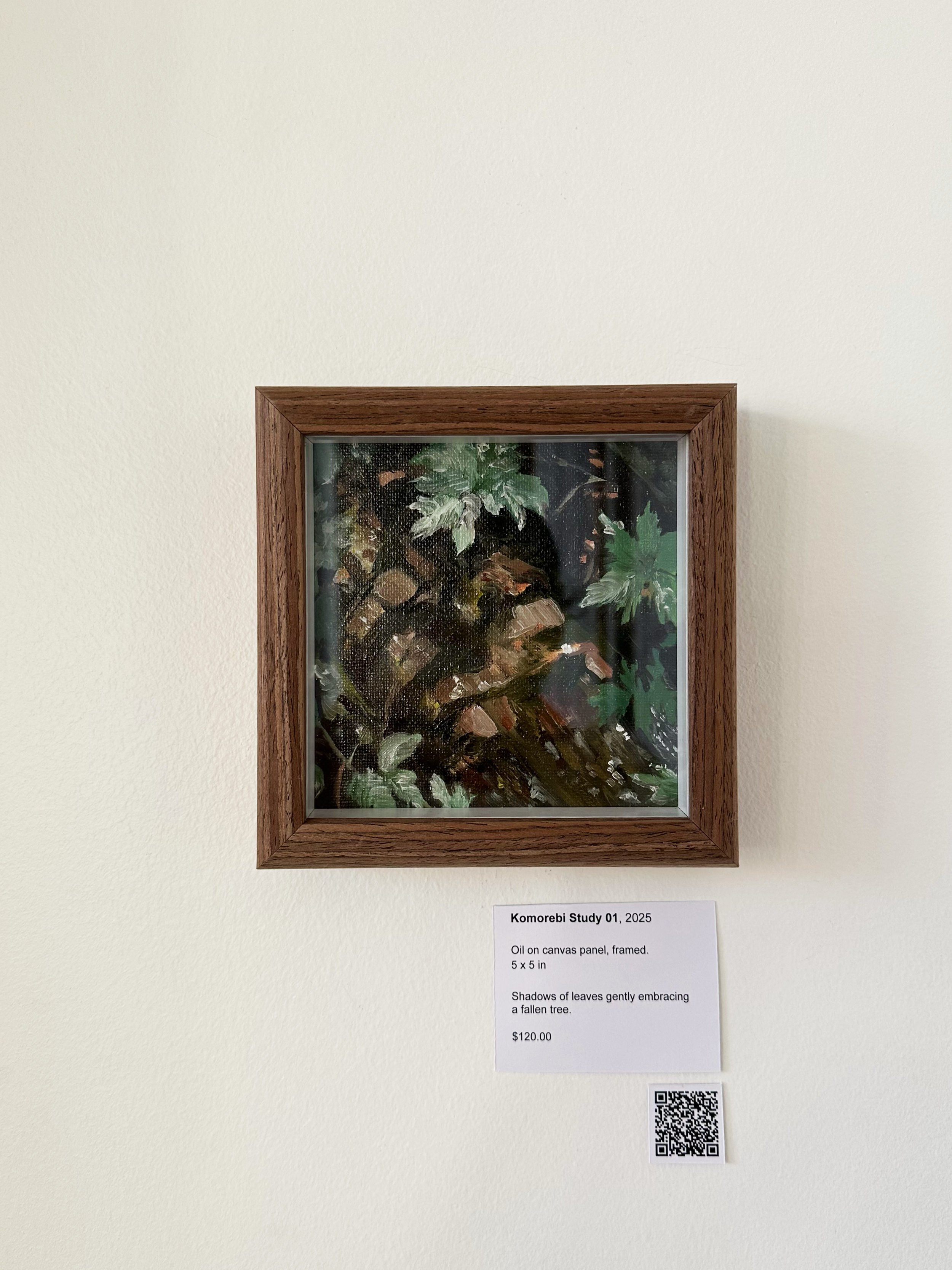 Komorebi Study 01 - framed.png