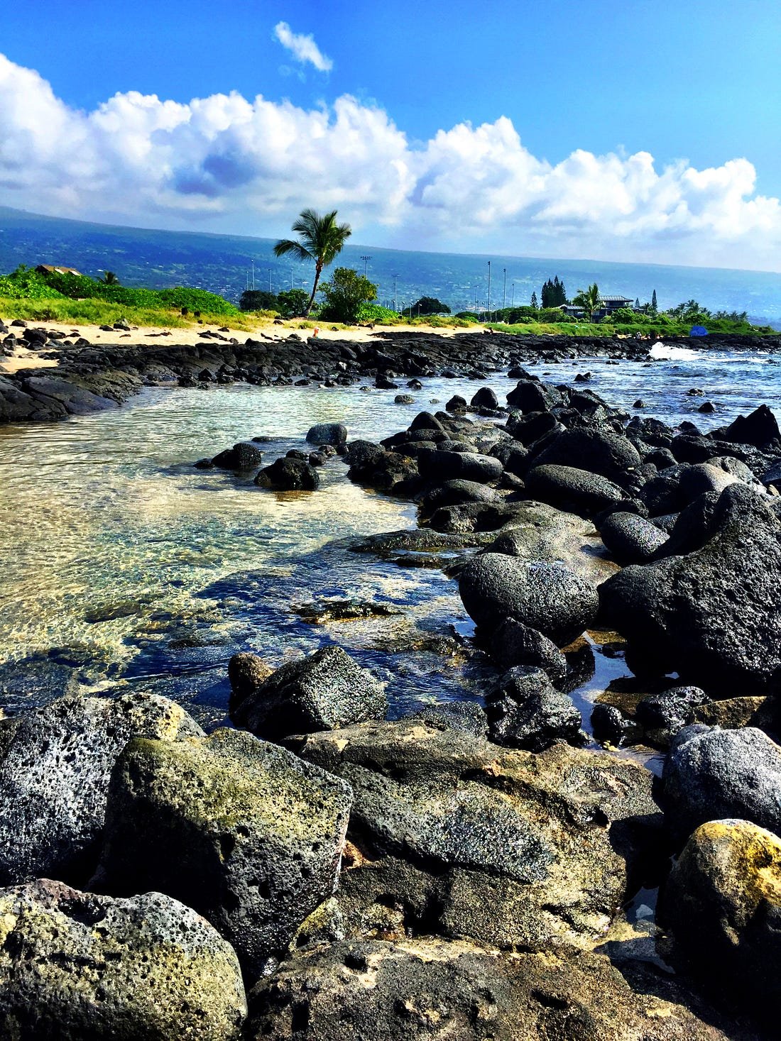 The Unbearable: Learn a New Way