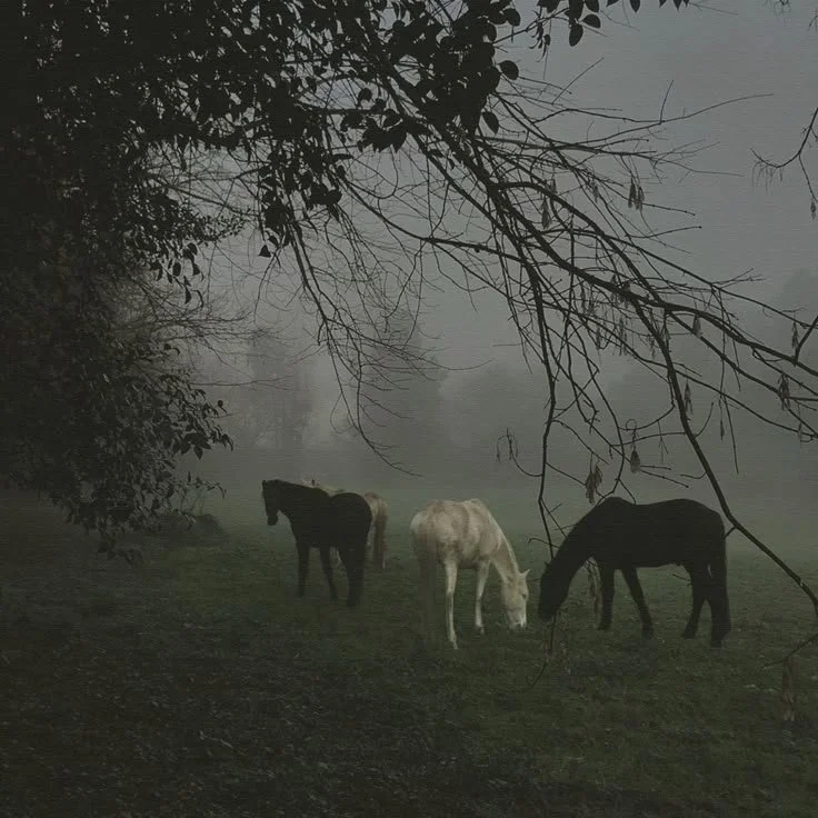 61c0c5d8e08c42f80c454b40774b7423.jpg