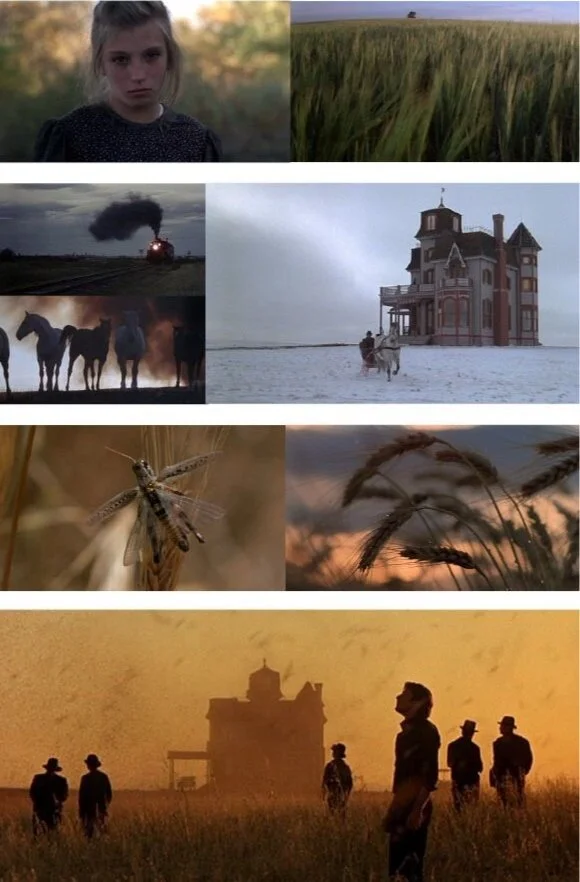 Days of Heaven.jpg
