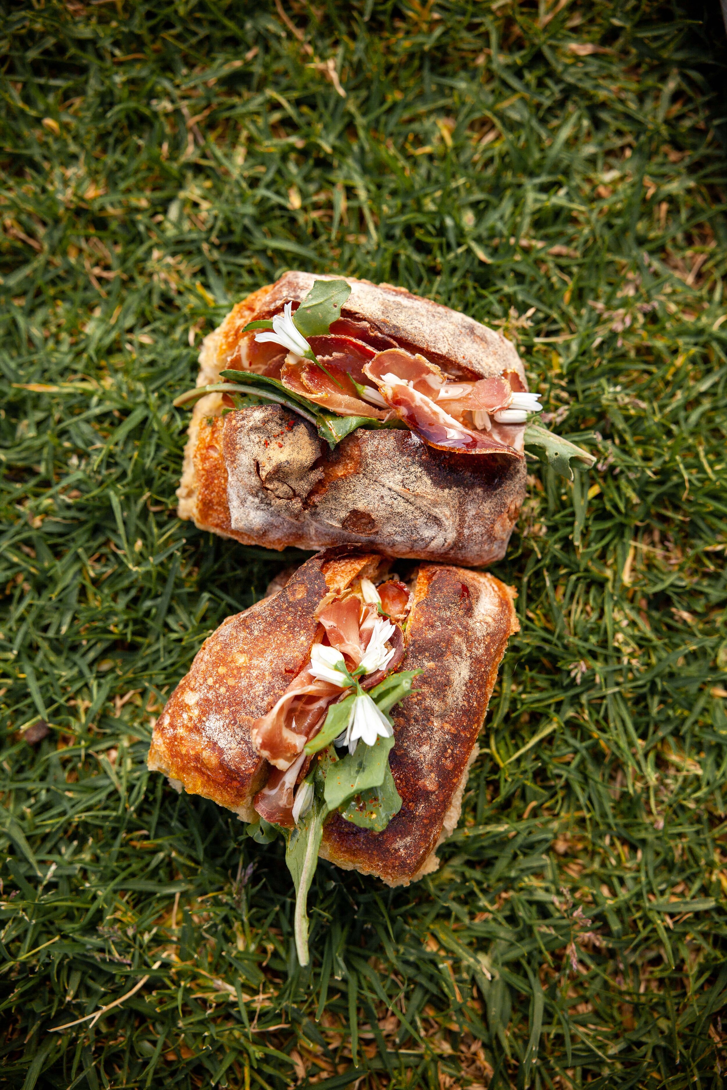 ROMU - Picnic (Low Res)-6.jpg