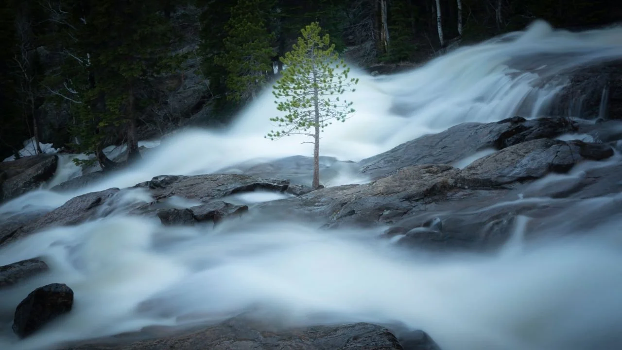 How to Use Contrast in Photography