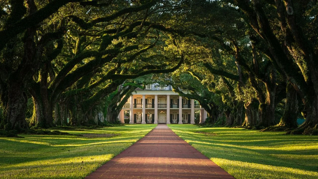 Using Proportion in Your Photography