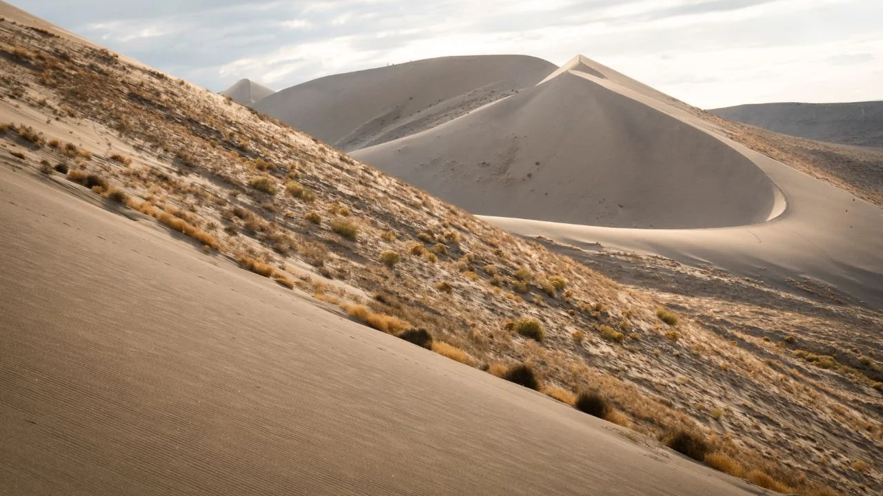How Harmony Controls Your Photography