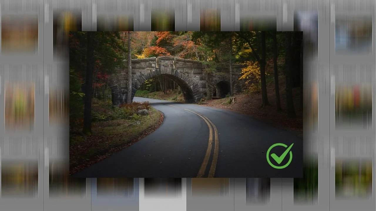 How to Quickly Cull Your Photos in Lightroom