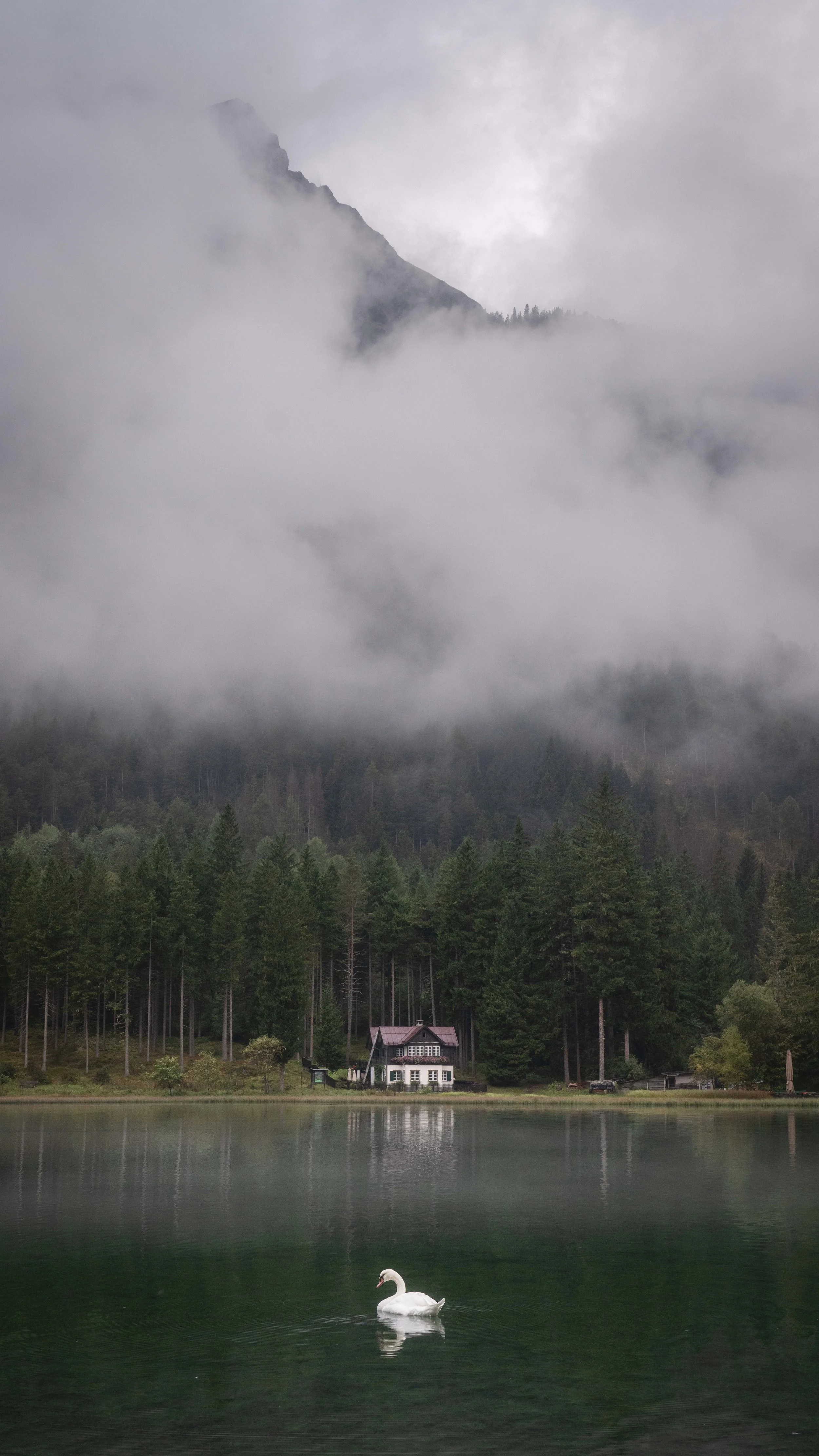 630 - Lago di Dobbiaco