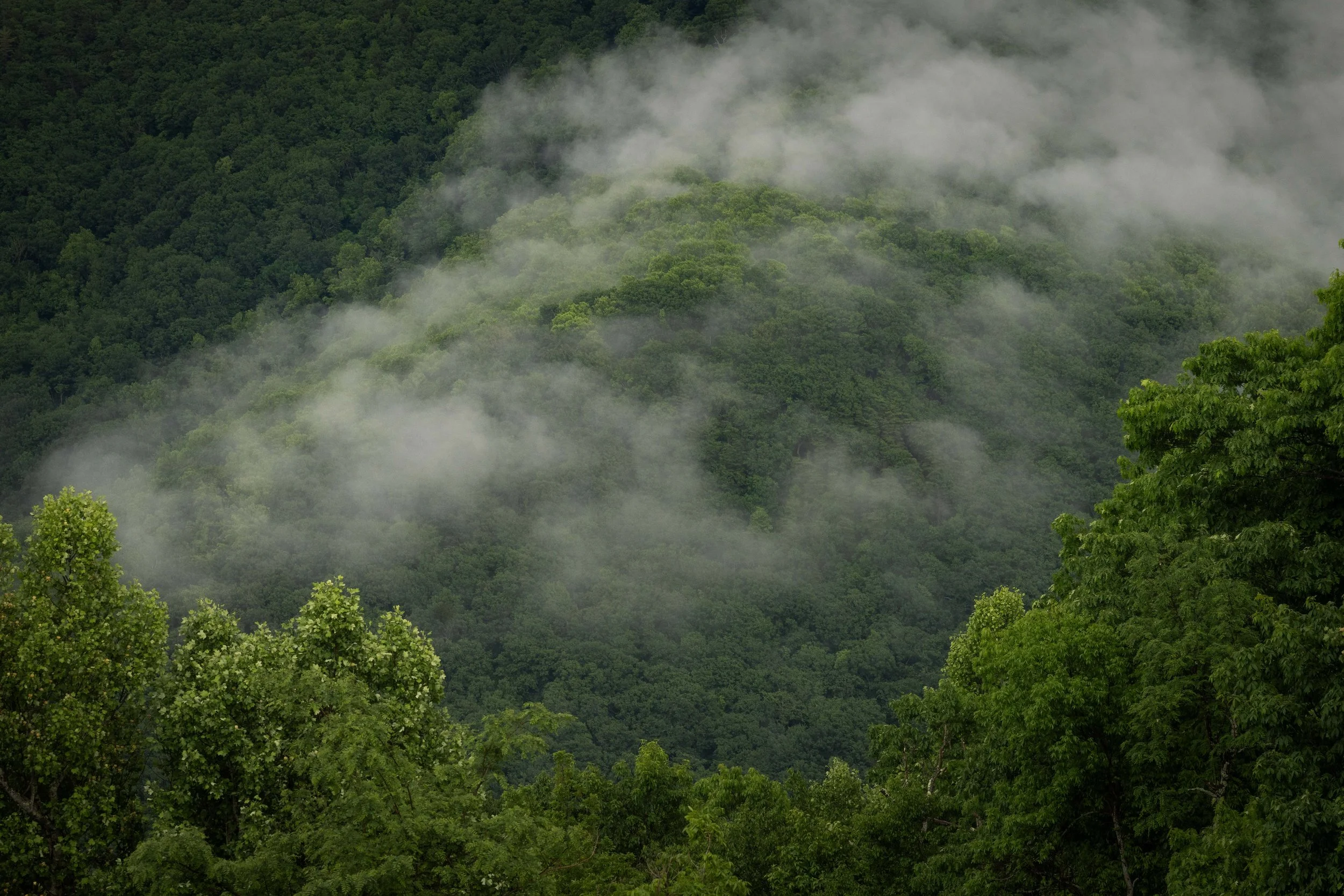 652 - Blue Ridge Parkway