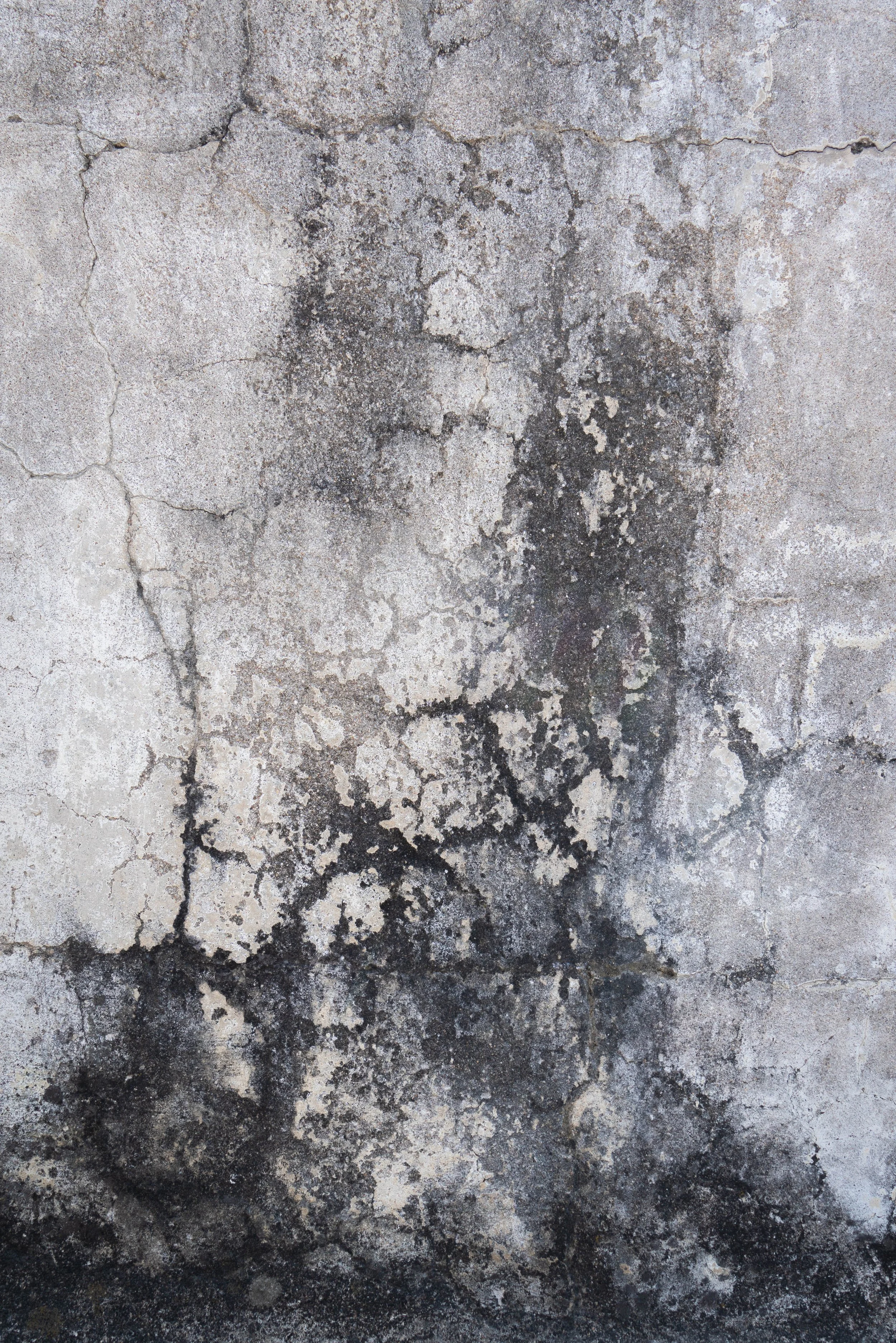Concrete wall art