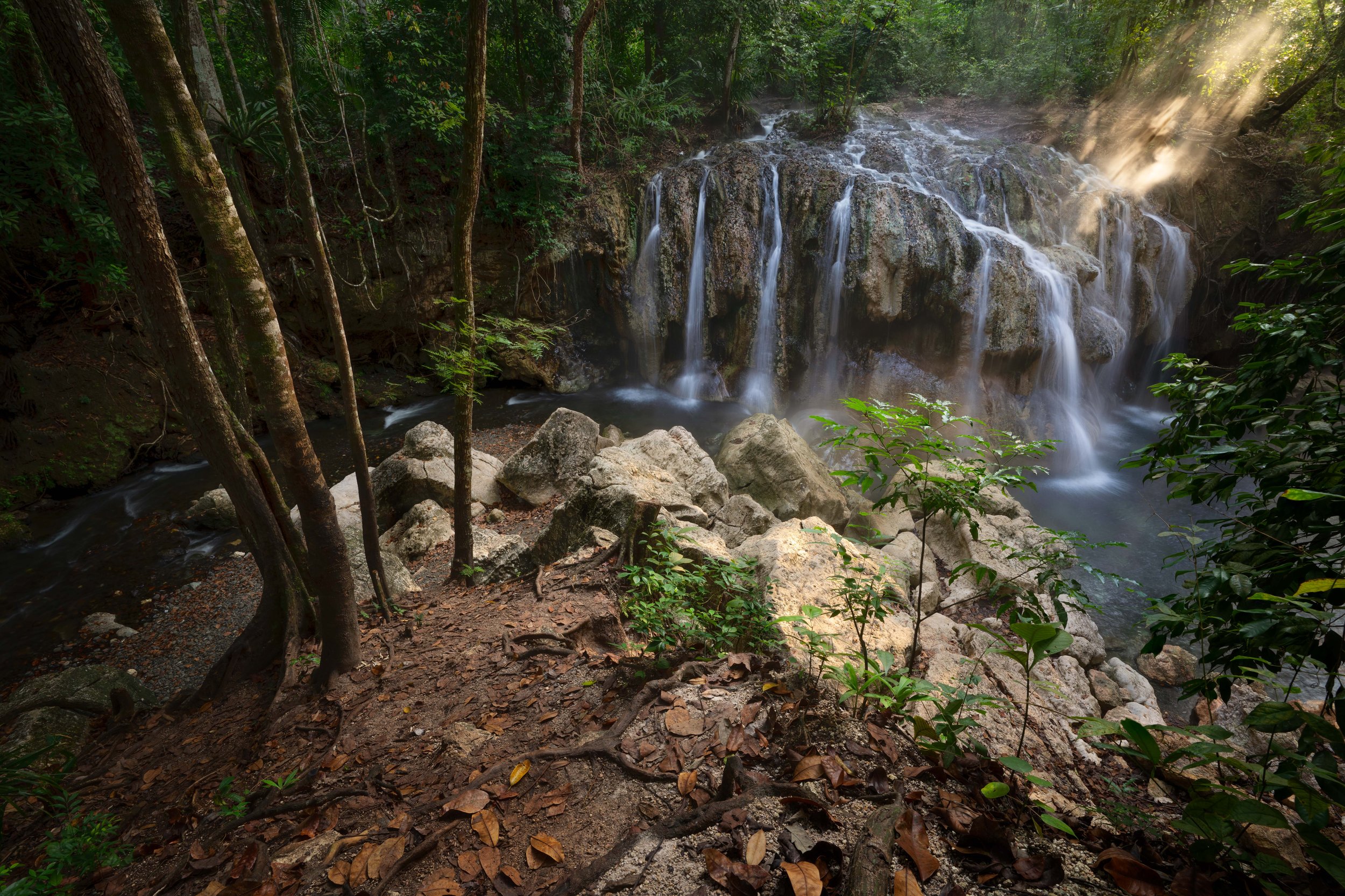 A small waterfall cascading over rocks in a lush green forest with sunlight streaming through the trees.