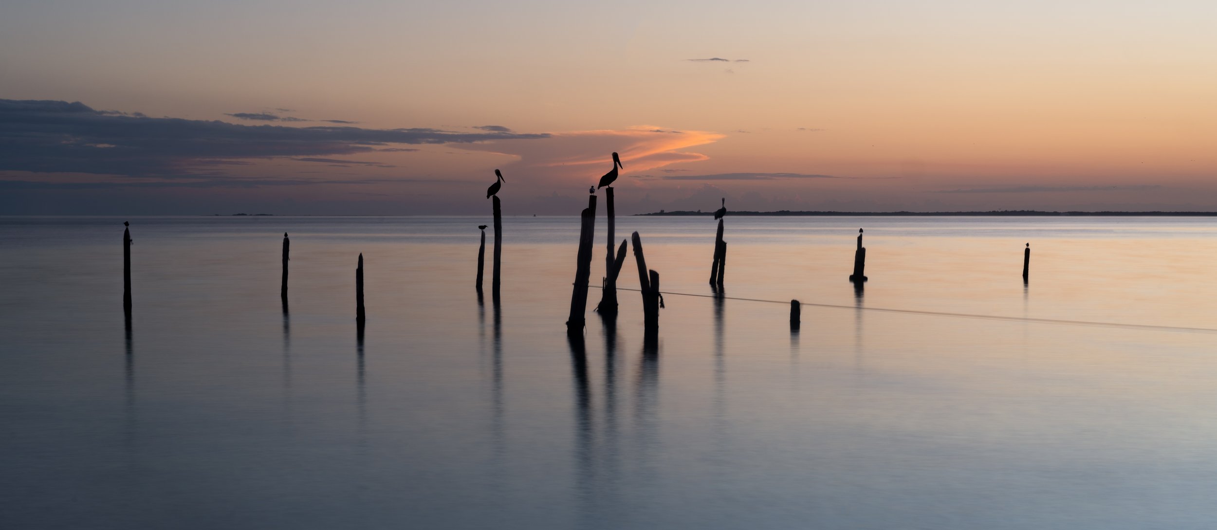 Silhouettes of pelicans perched on weathered wooden posts in calm water during a sunset or sunrise with a colorful sky and distant horizon.