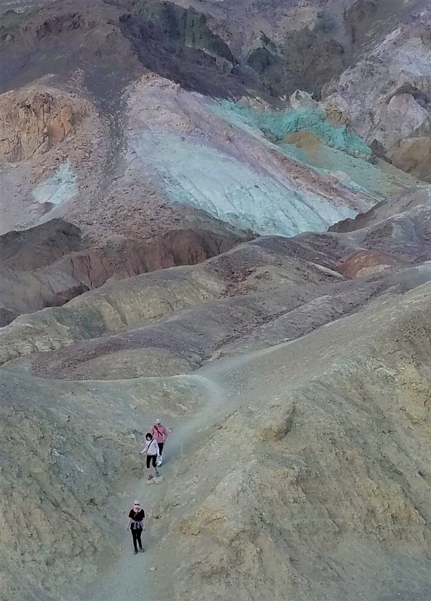 20201112_161937.jpg