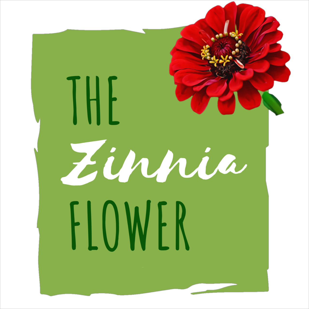 The Zinnia Flower