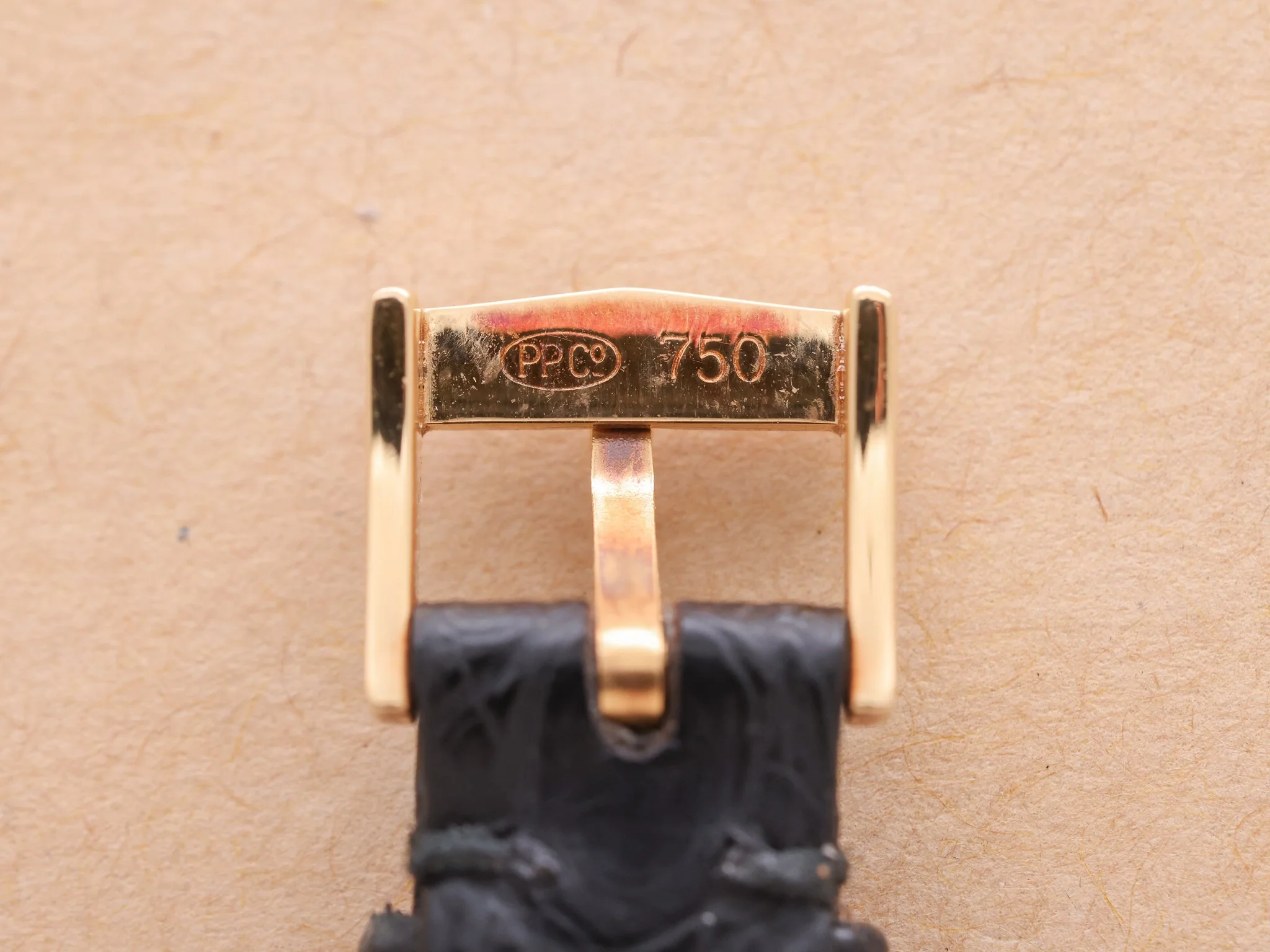 PP_4860J_THHKC260401-13.jpg